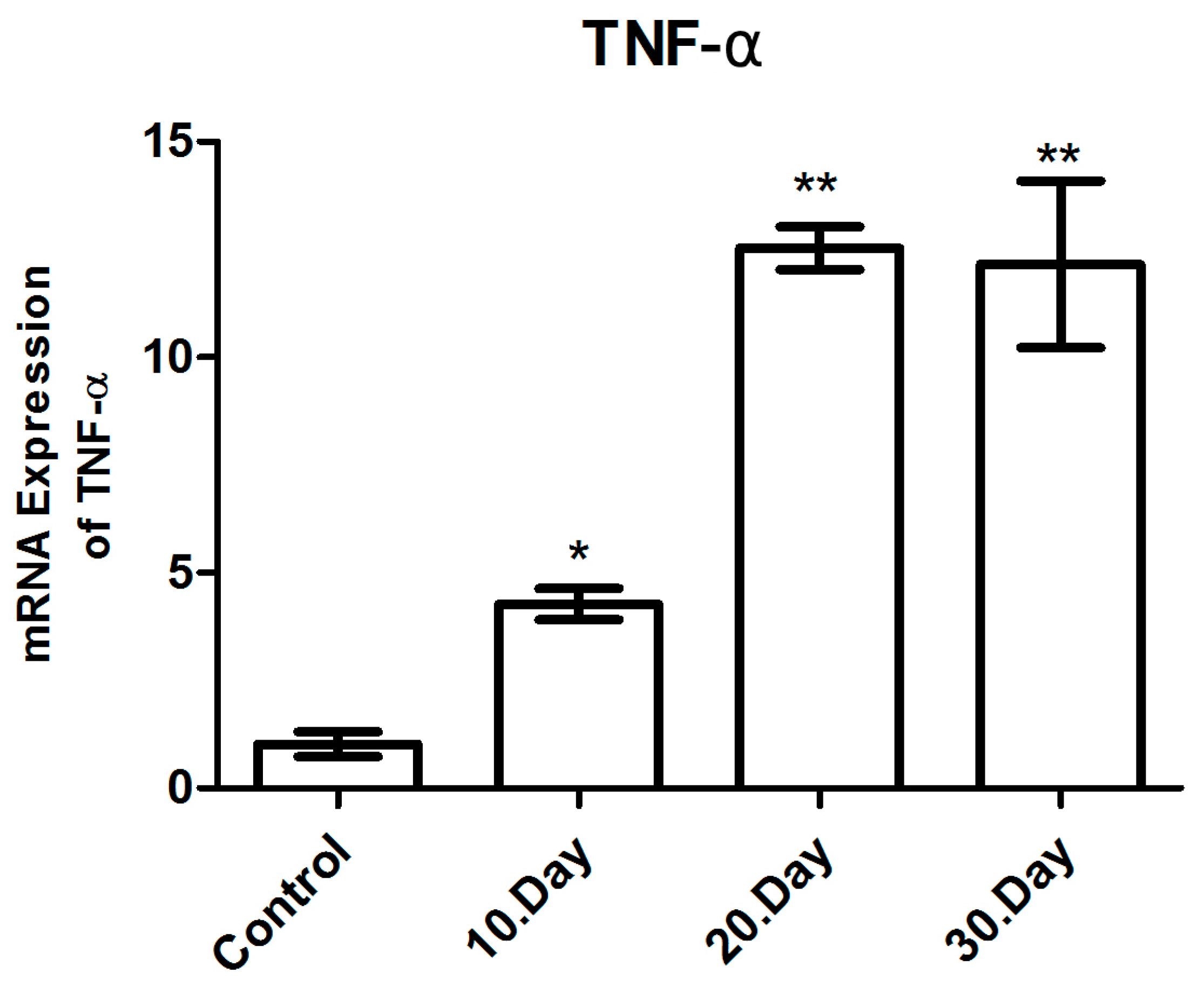 Brainsci 14 01298 g010 Brainsci 14 01298 g010