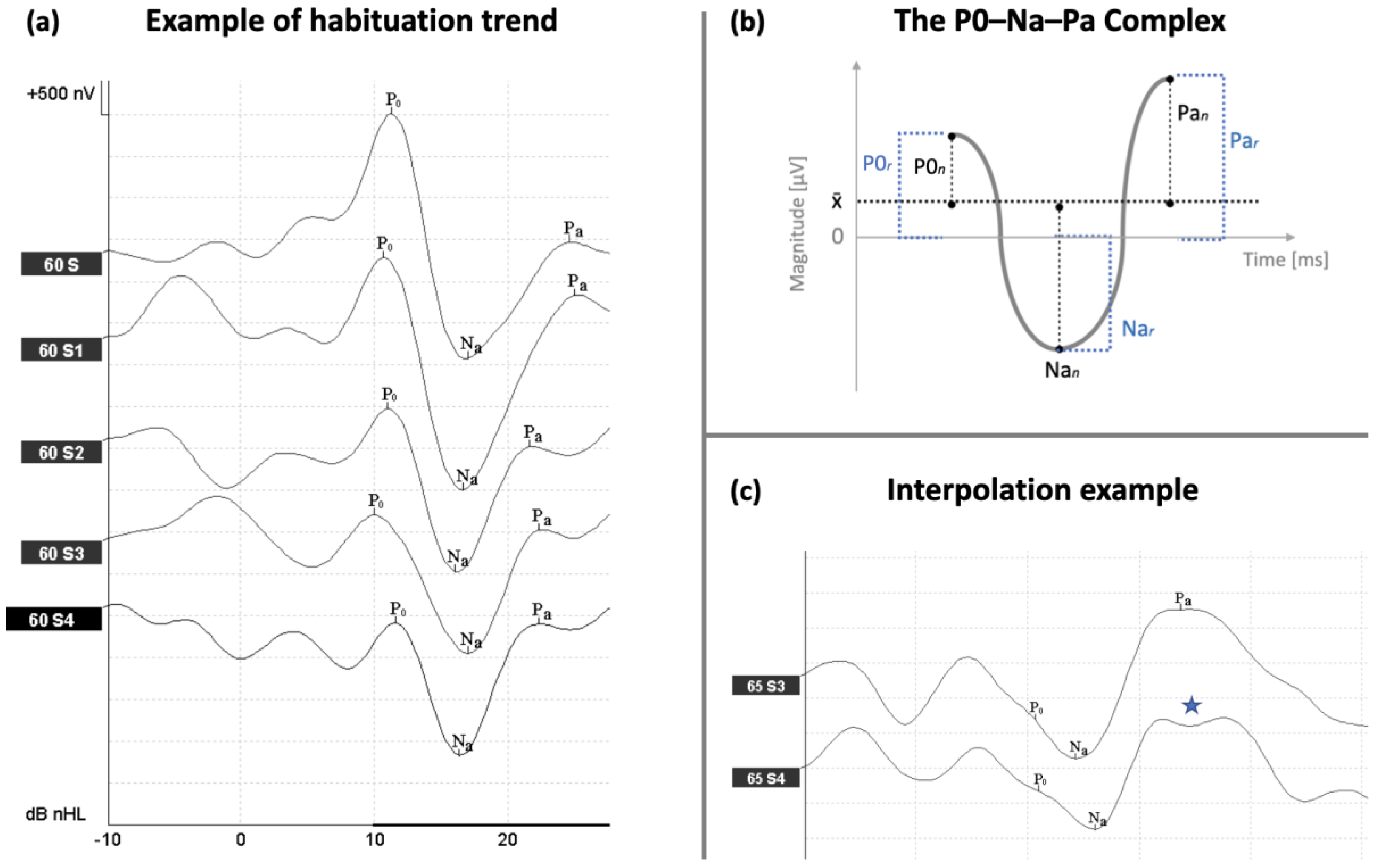 Brainsci 15 00001 g001