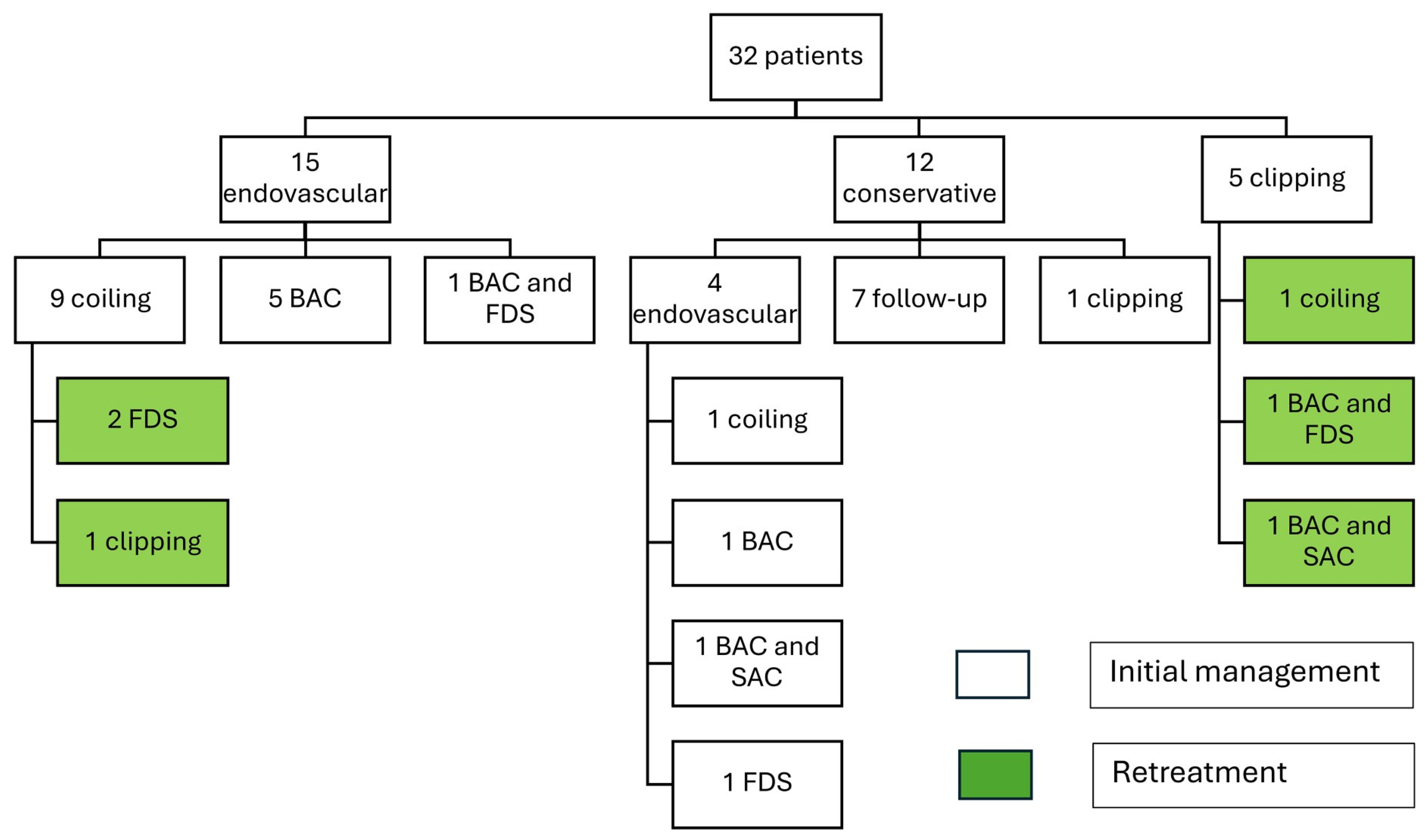 Brainsci 15 00005 g001