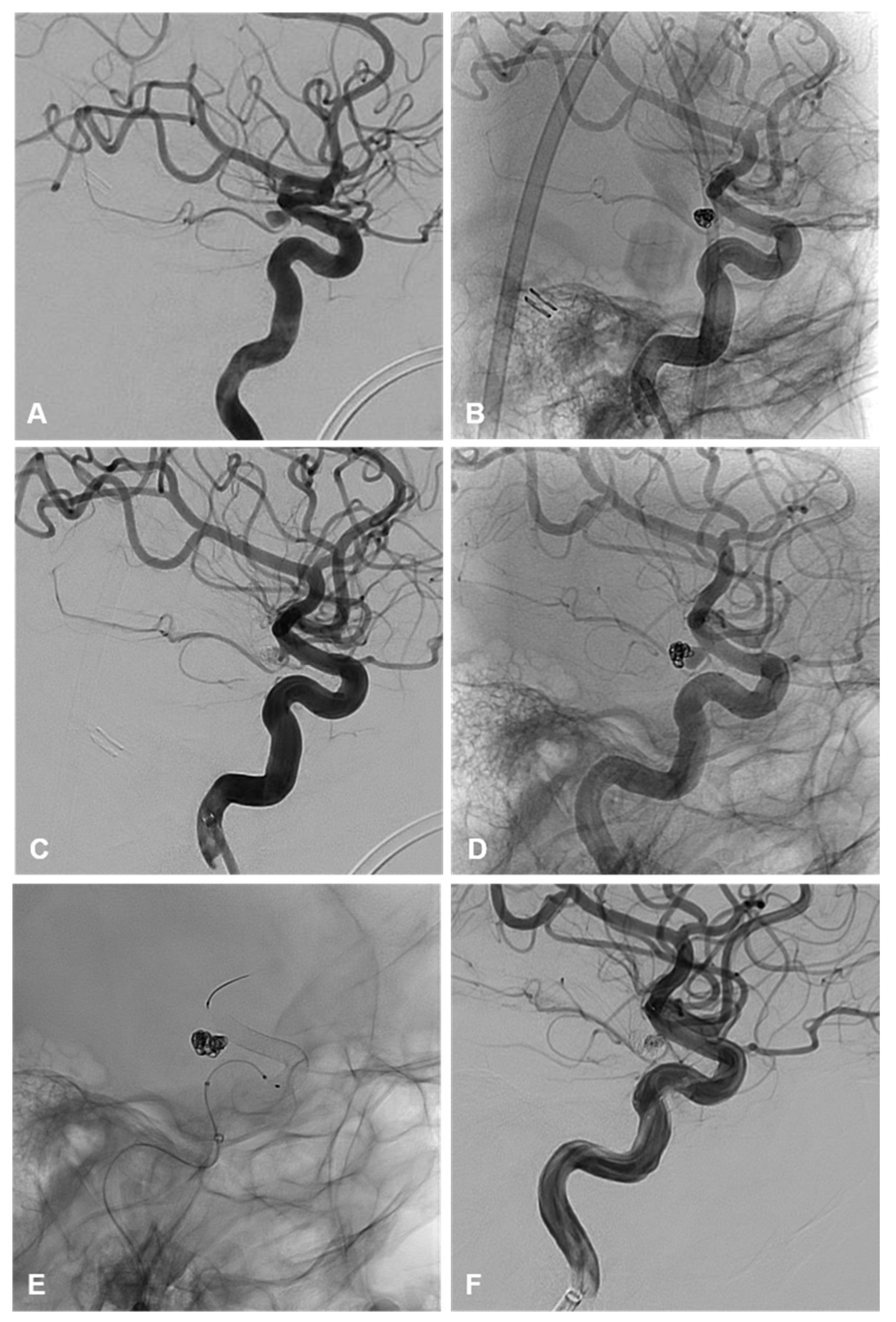 Brainsci 15 00005 g003