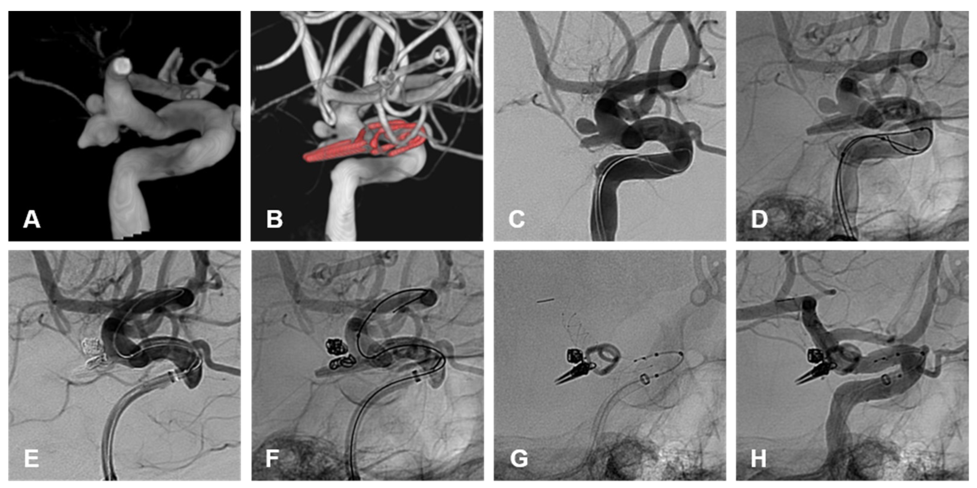 Brainsci 15 00005 g004