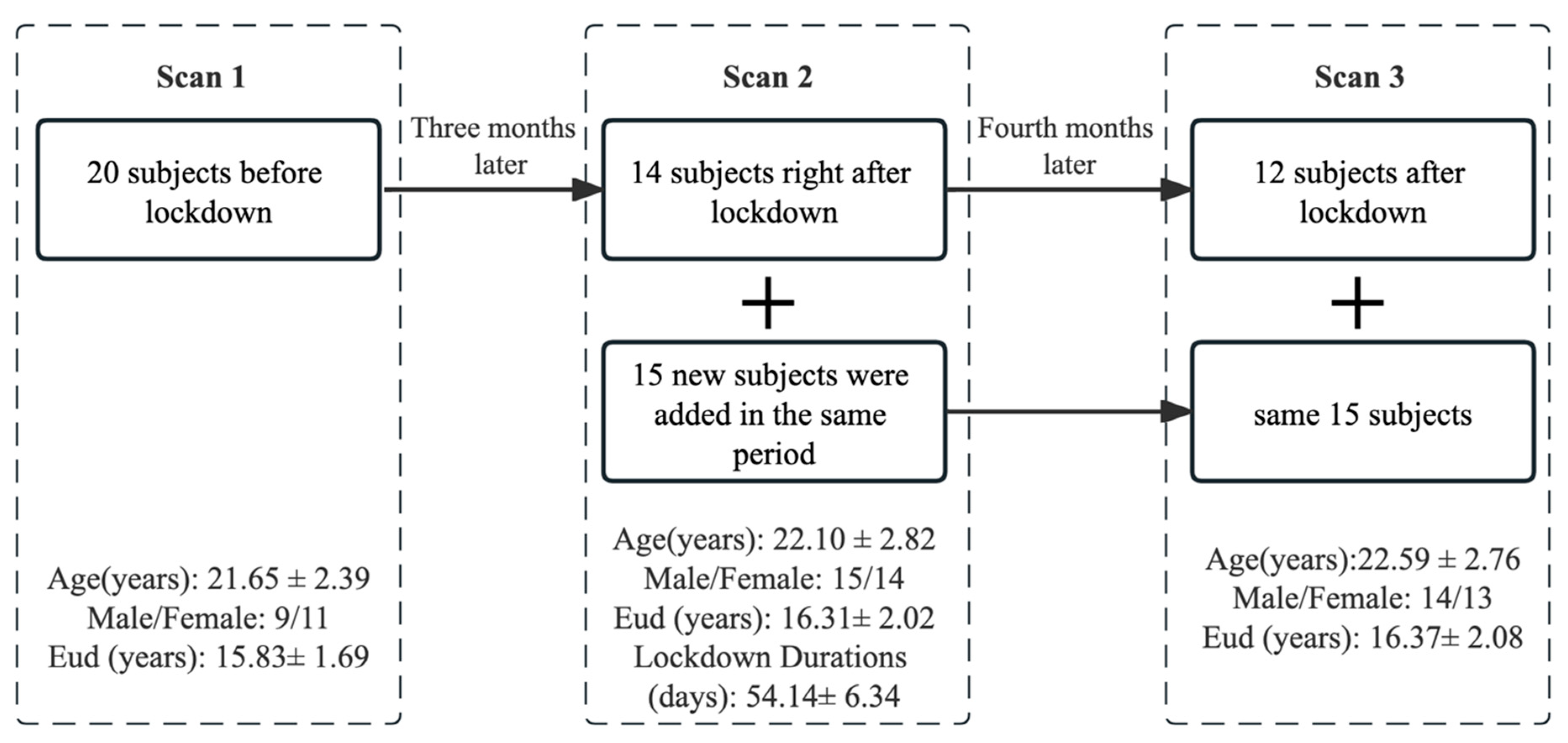 Brainsci 15 00007 g001
