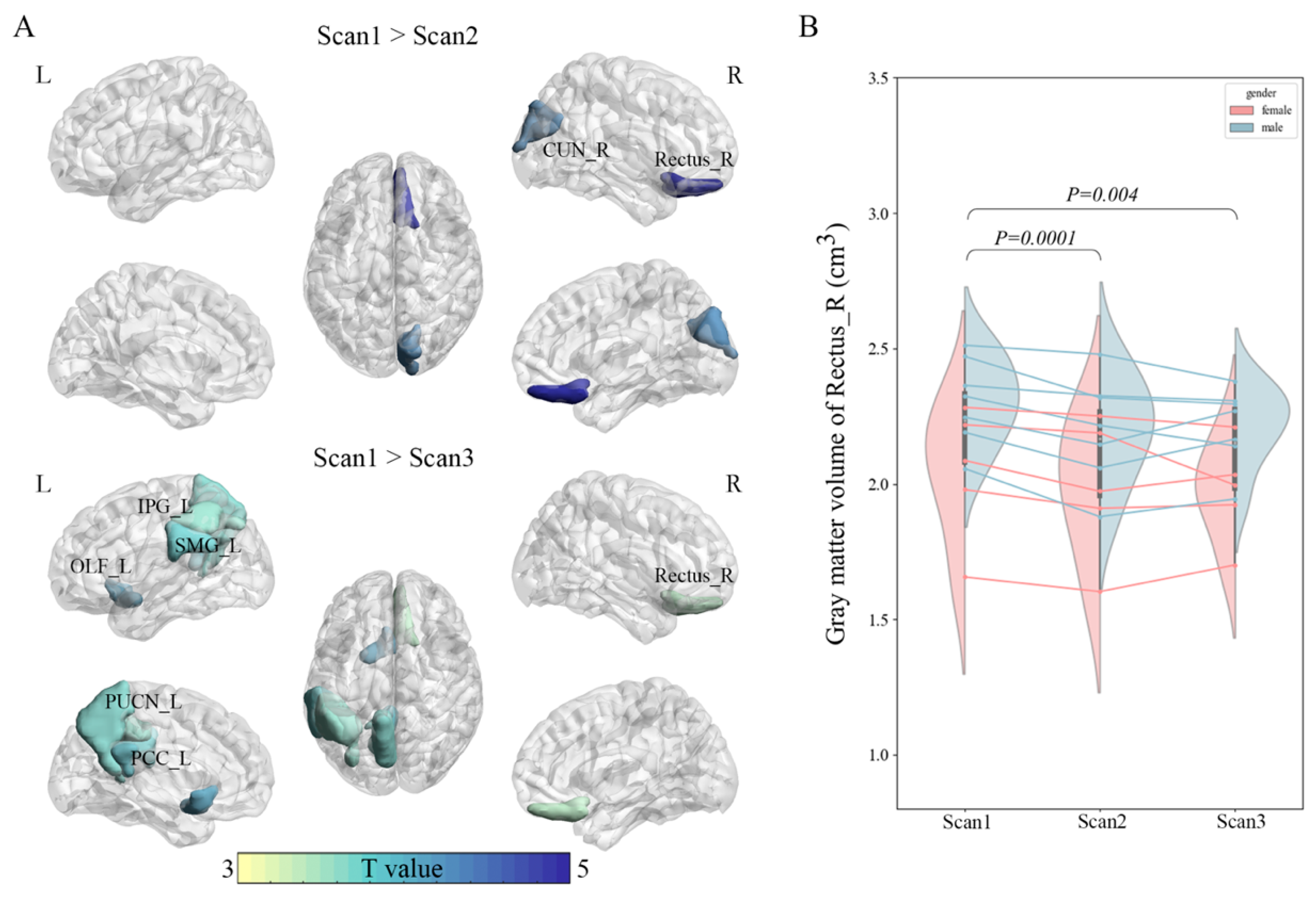 Brainsci 15 00007 g002