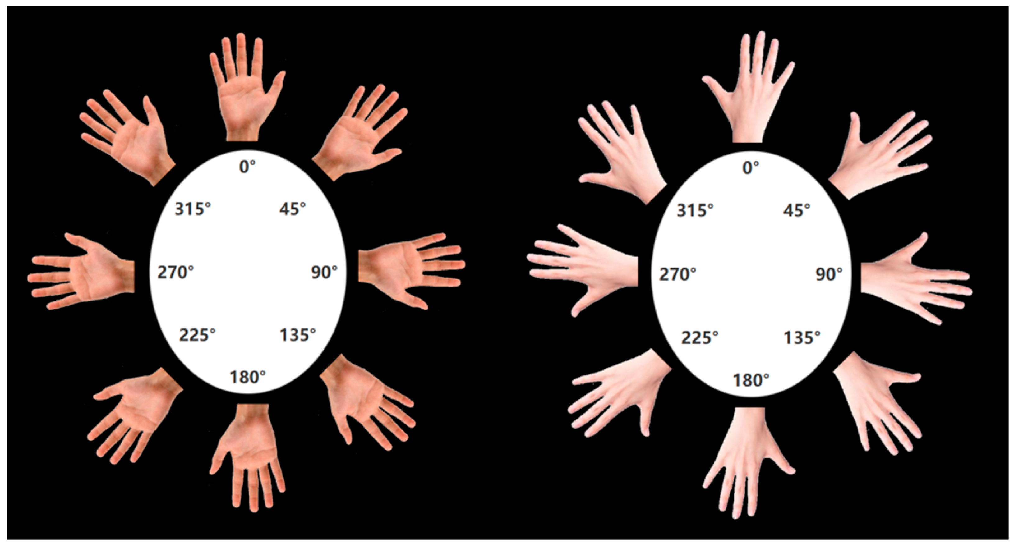 Brainsci 15 00008 g001