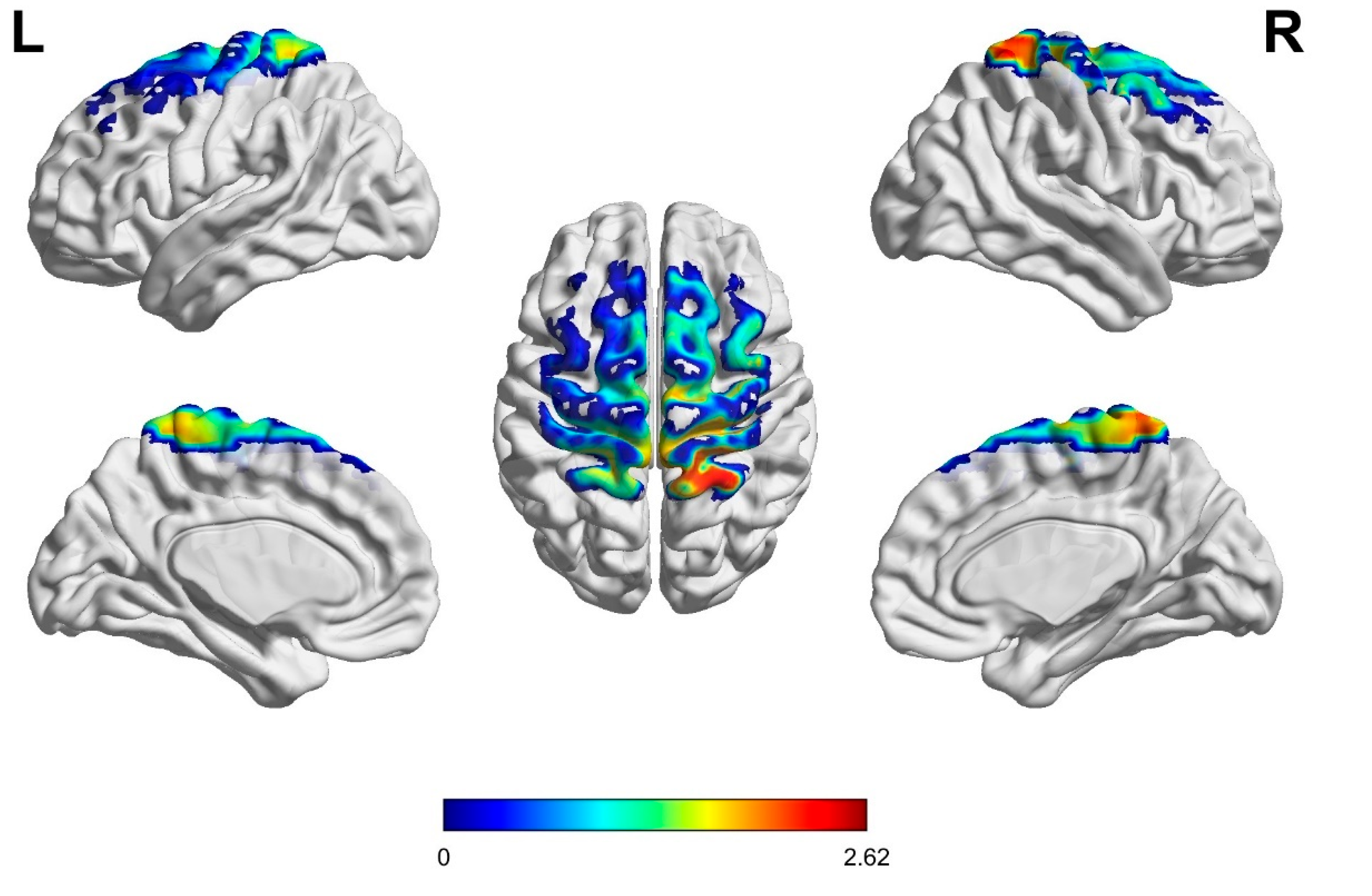 Brainsci 15 00008 g005