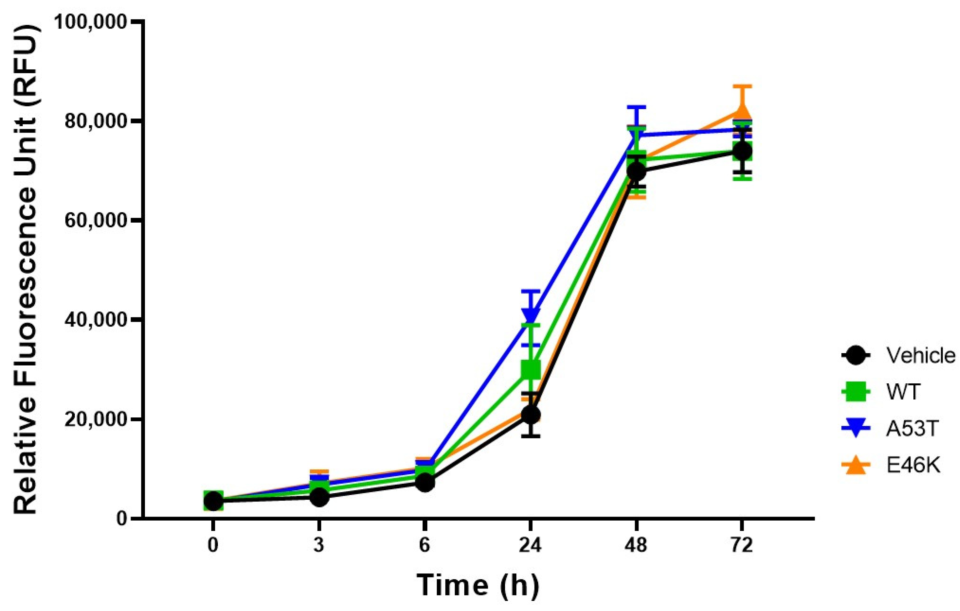 Brainsci 15 00009 g002