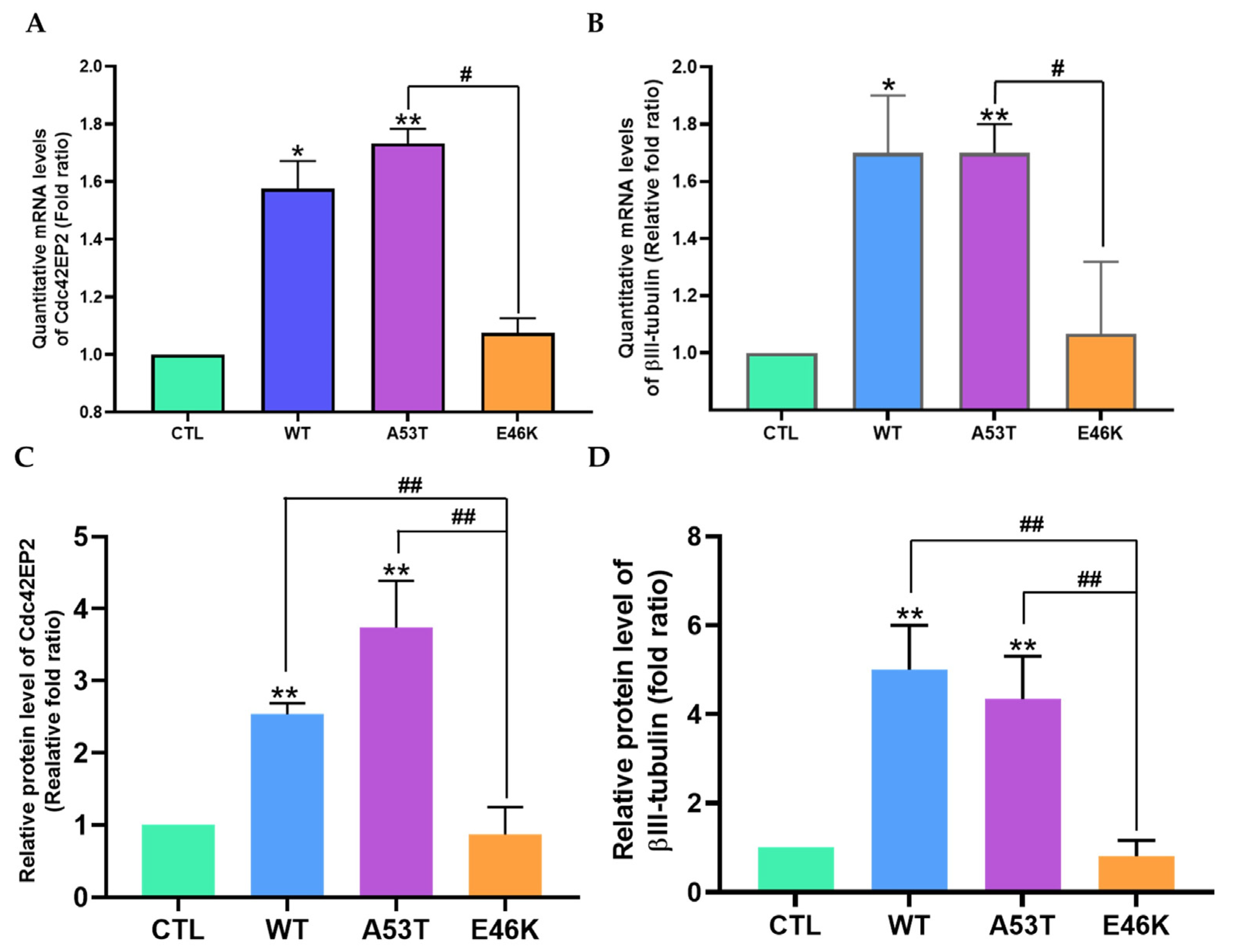 Brainsci 15 00009 g003