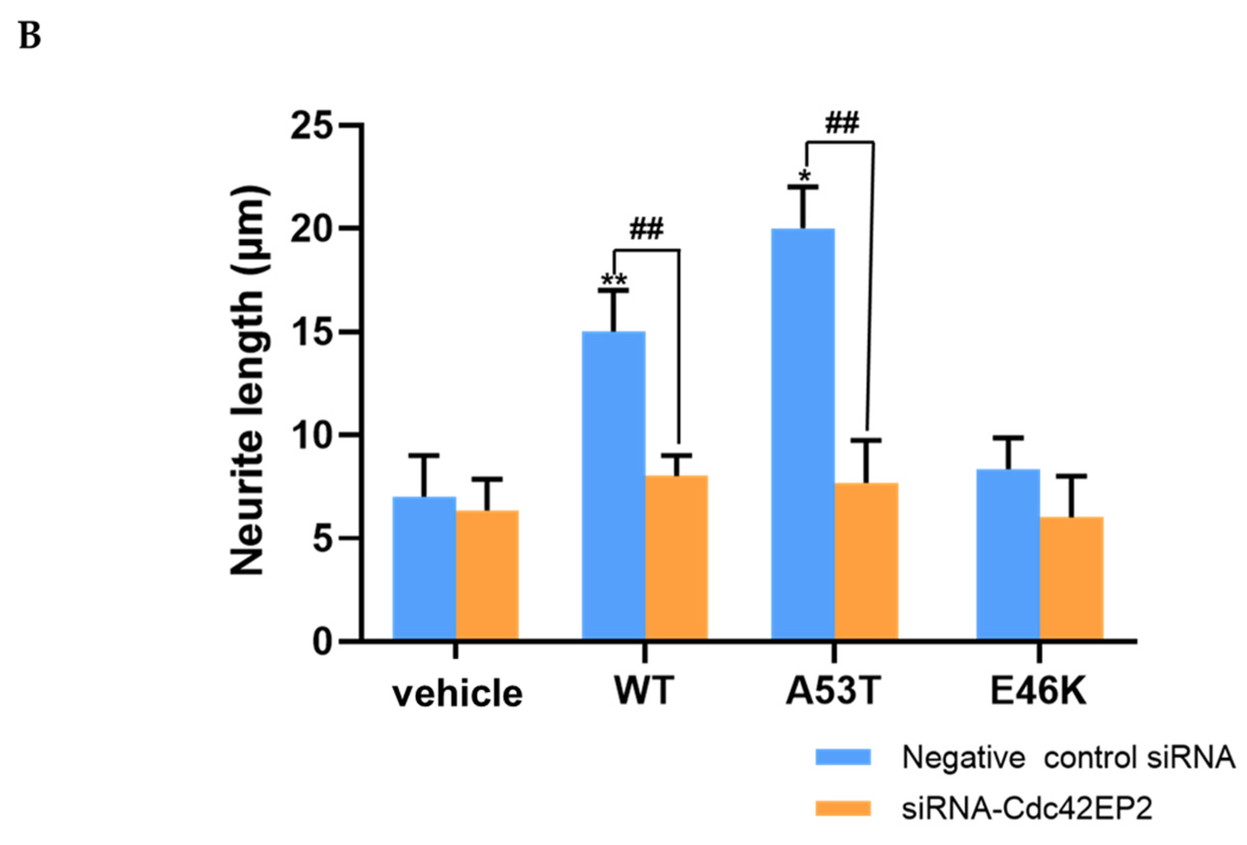 Brainsci 15 00009 g005b
