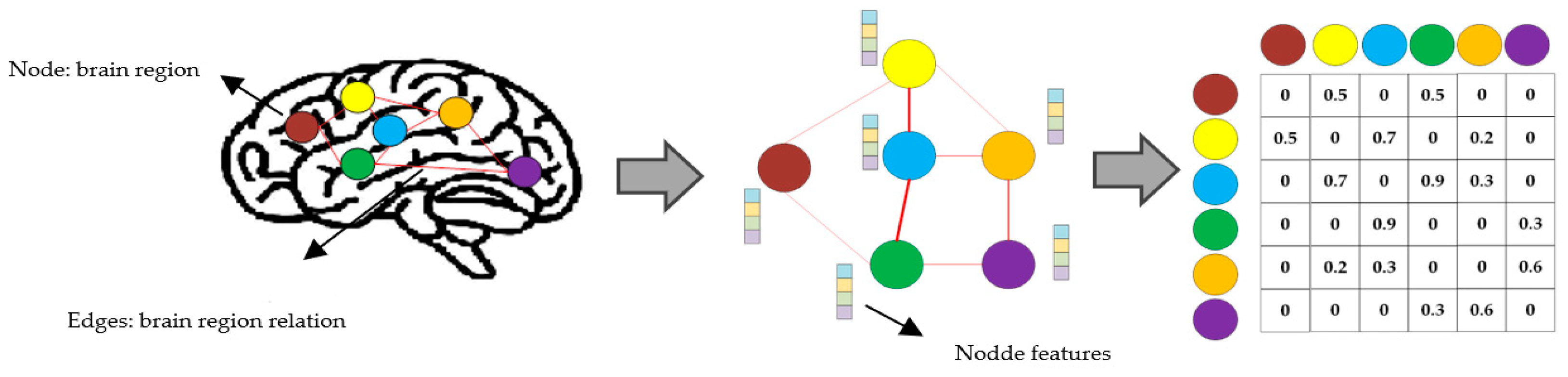 Brainsci 15 00017 g002