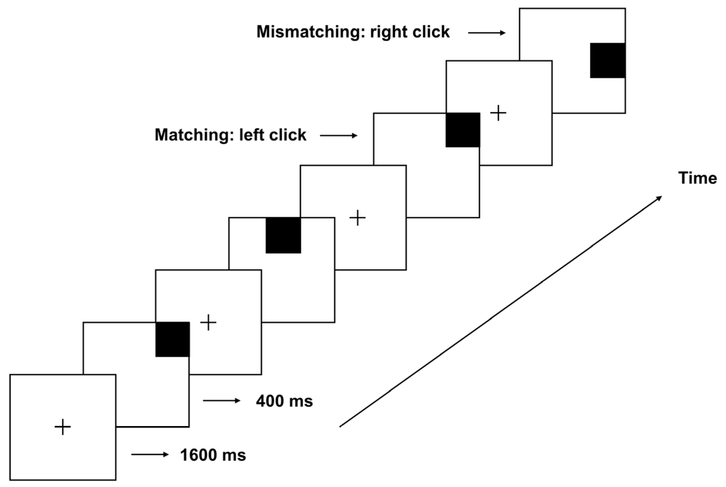 Brainsci 15 00018 g001