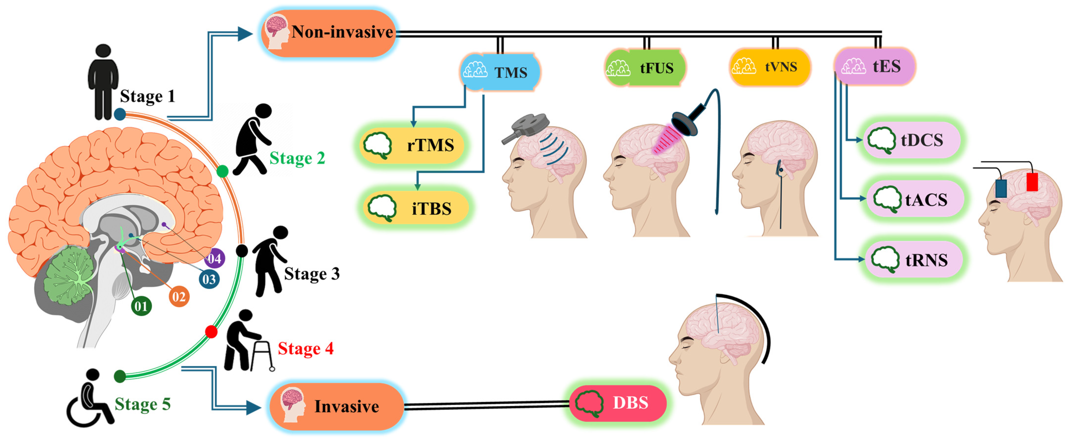 Brainsci 15 00020 g003