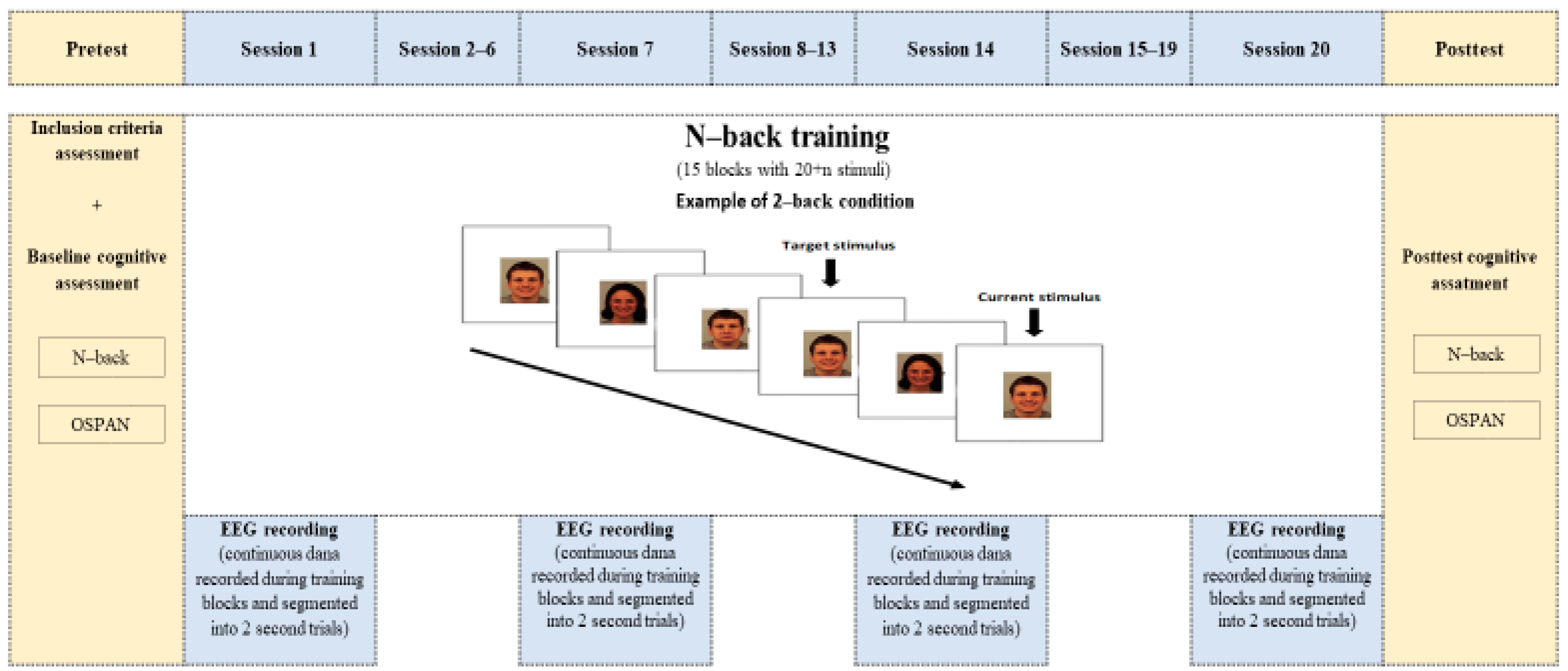 Brainsci 15 00022 g001