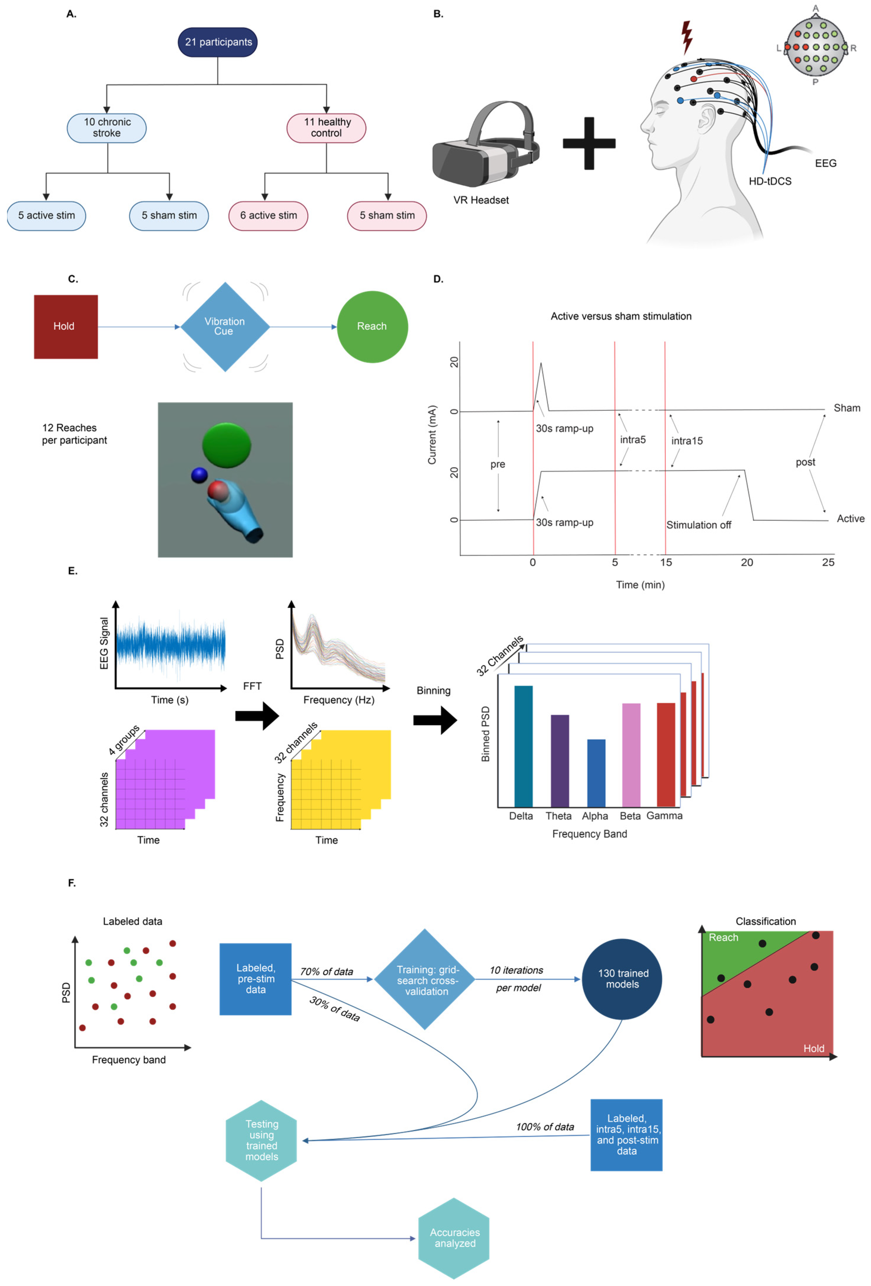Brainsci 15 00028 g001