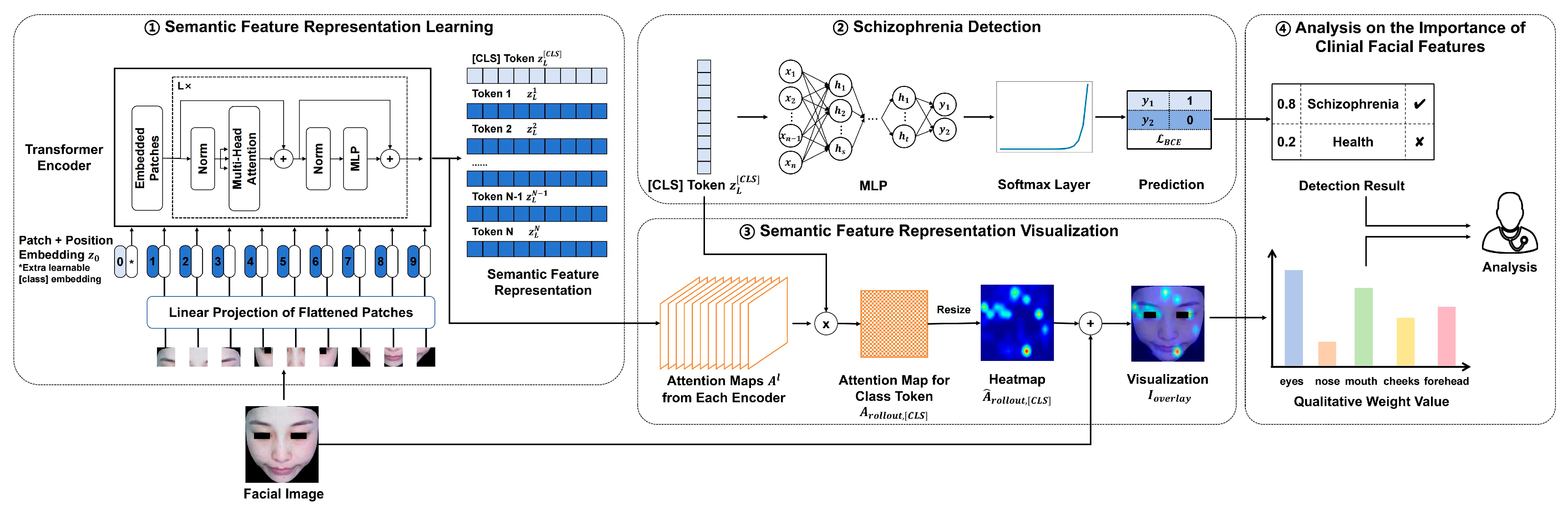 Brainsci 15 00030 g001