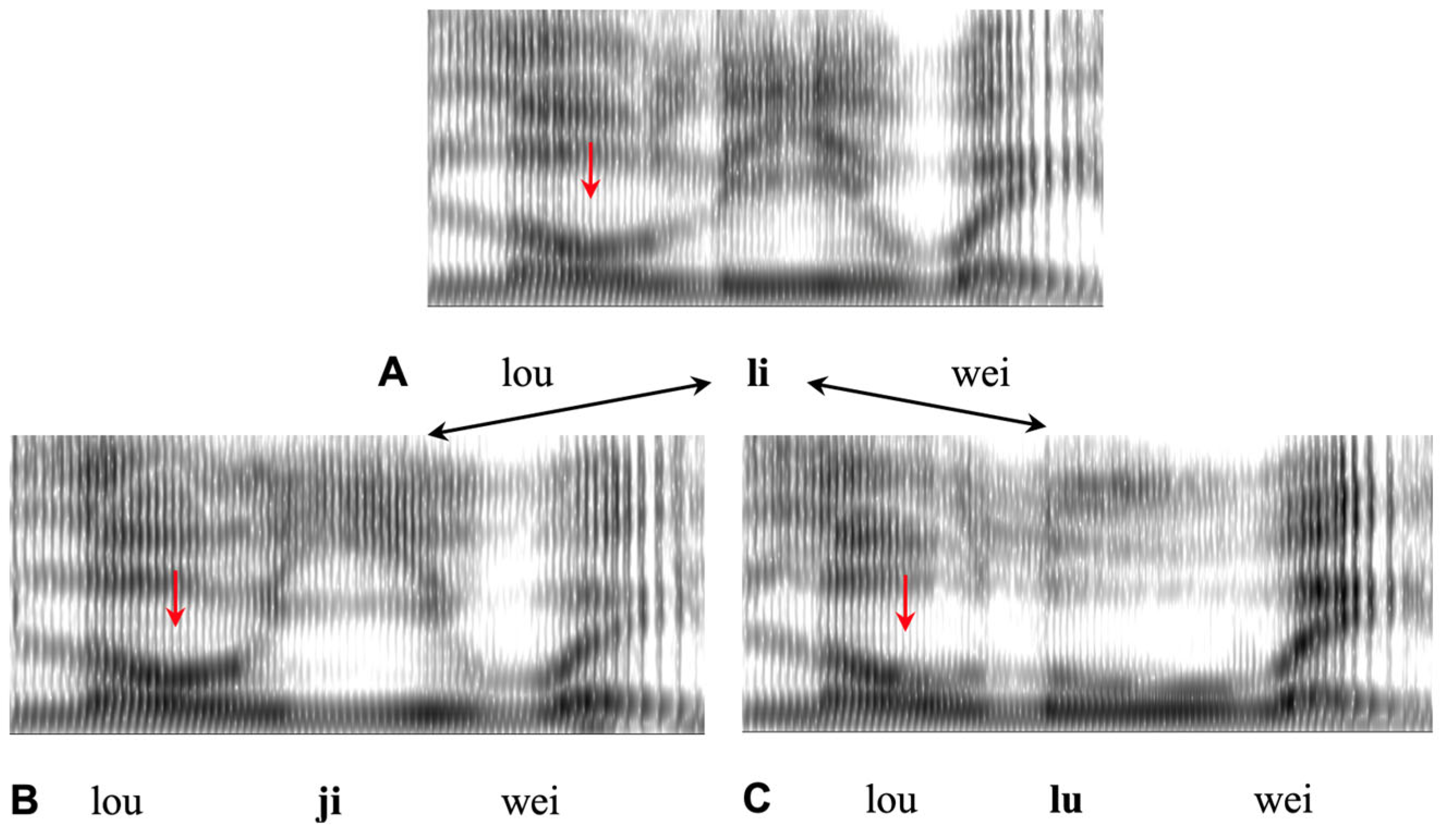 Brainsci 15 00033 g010 Brainsci 15 00033 g010