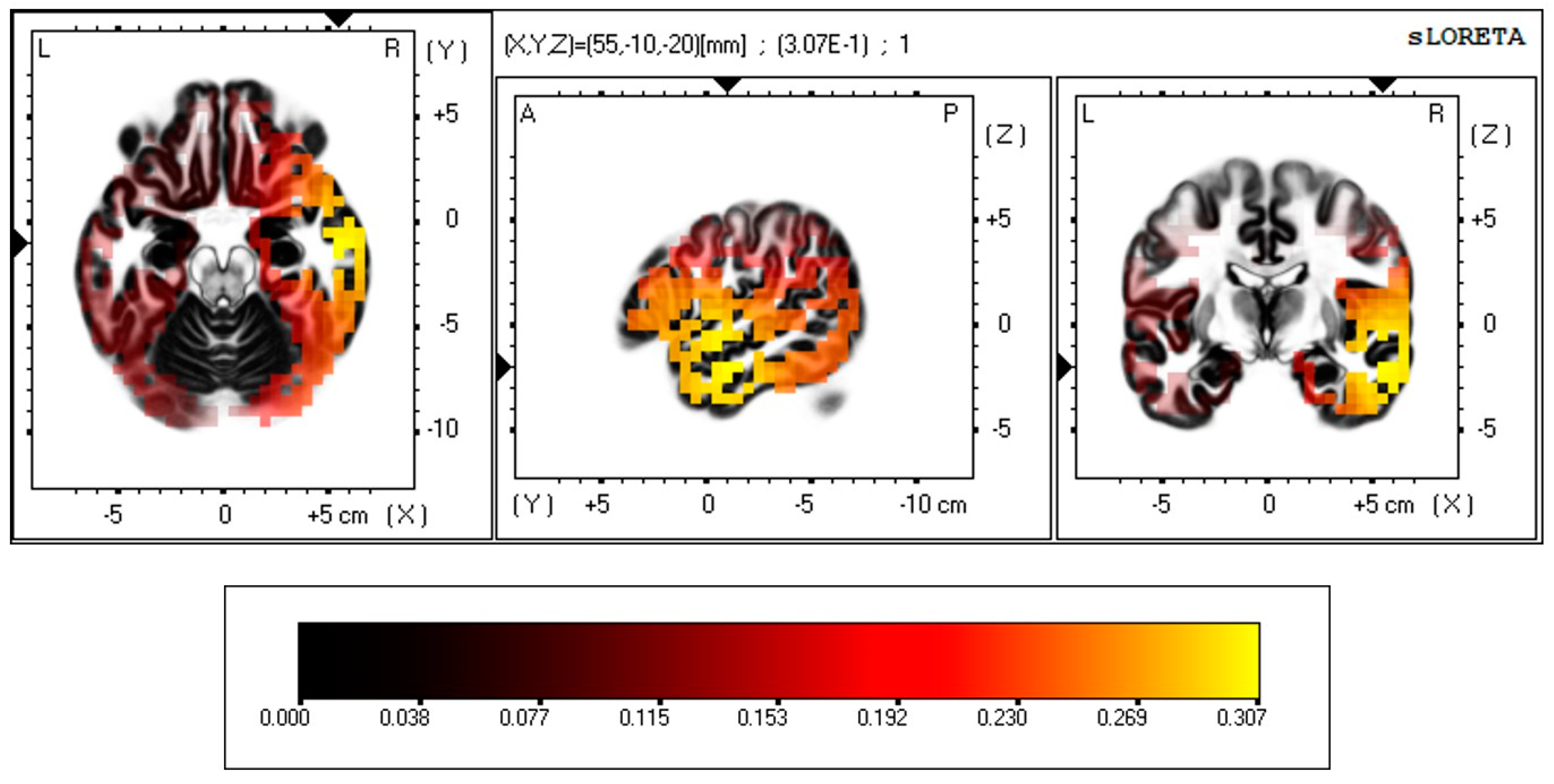 Brainsci 15 00040 g002