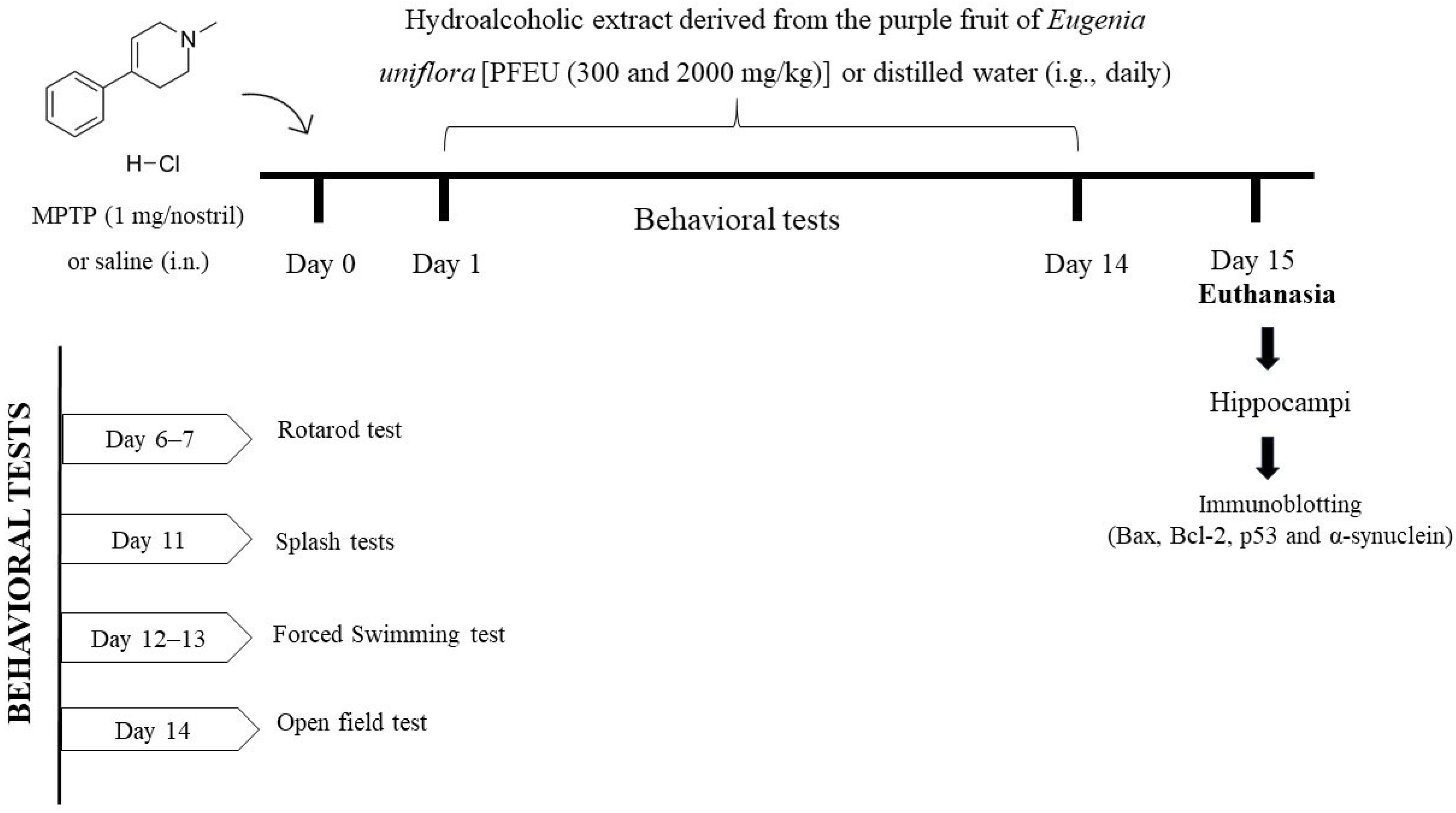 Brainsci 15 00041 g001