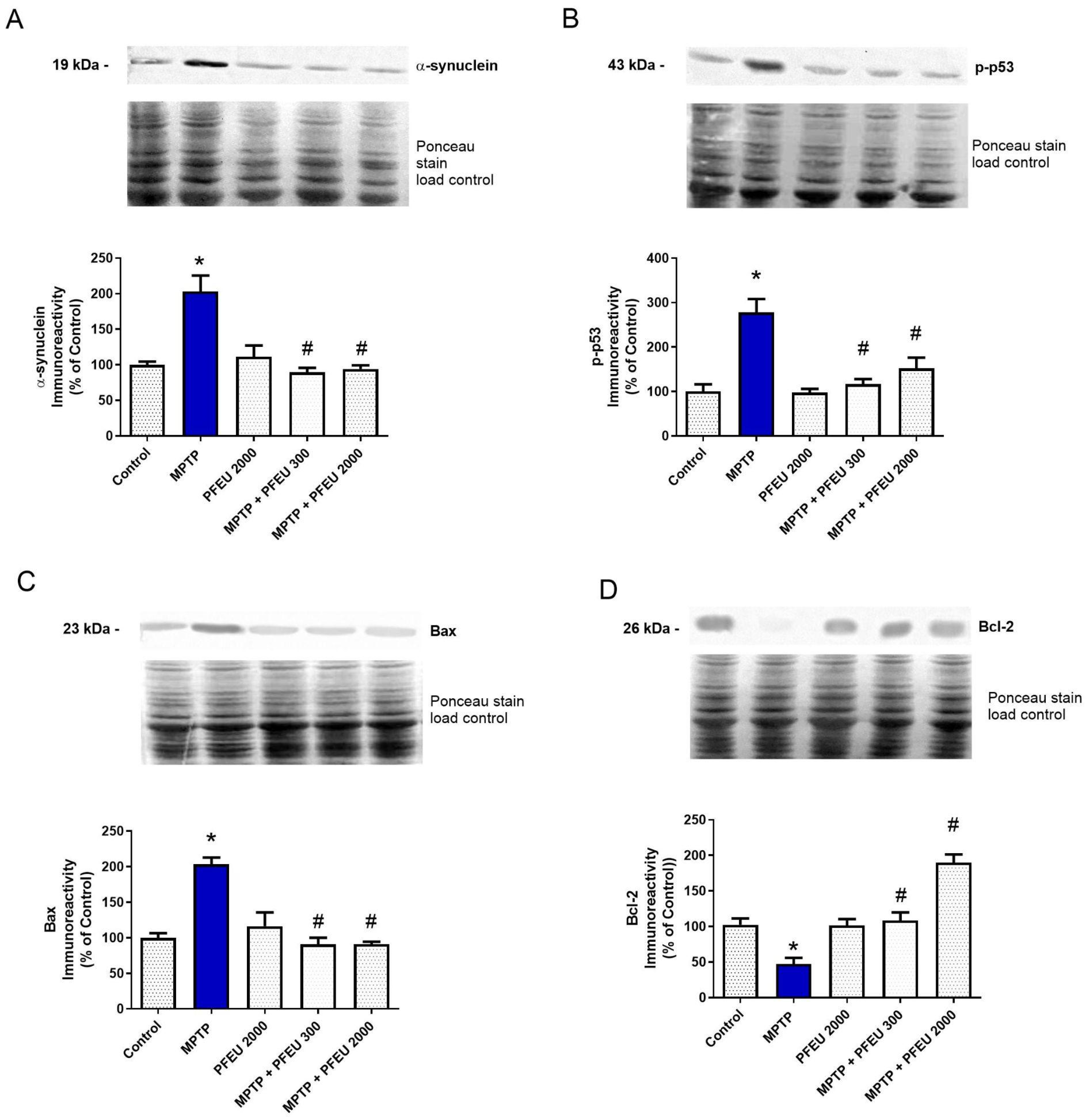 Brainsci 15 00041 g003