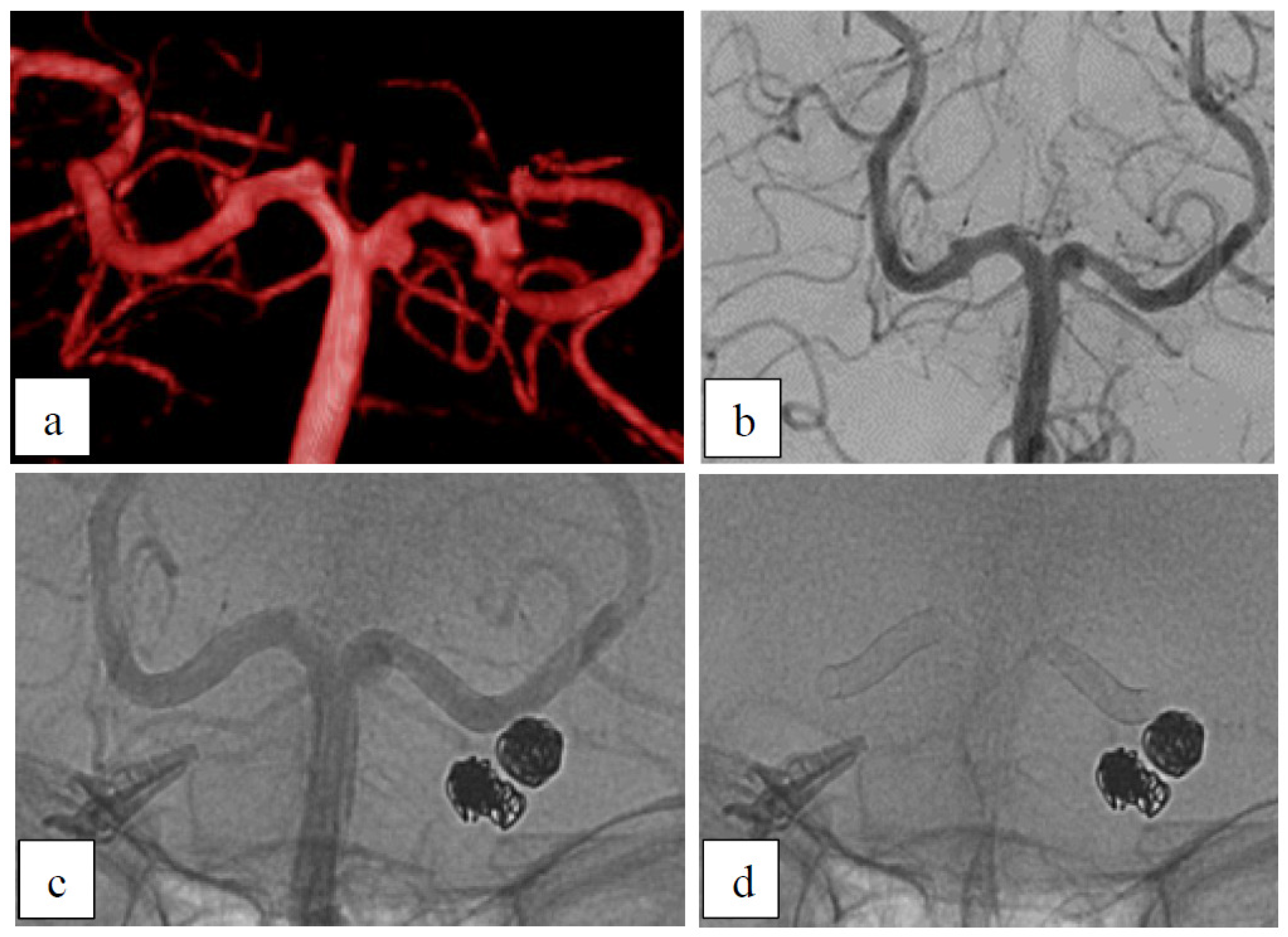 Brainsci 15 00042 g001