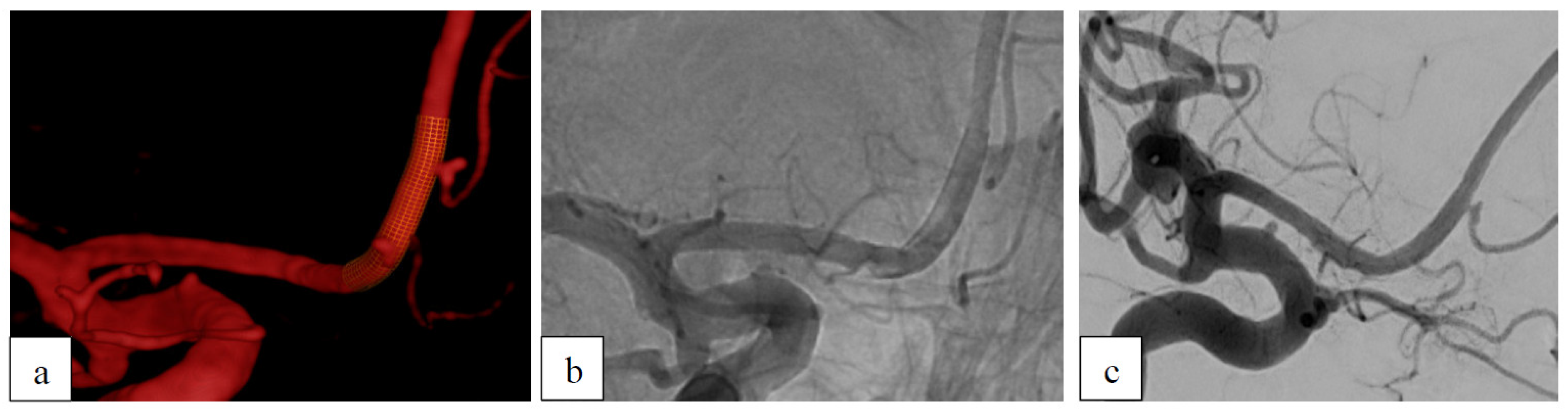 Brainsci 15 00042 g002