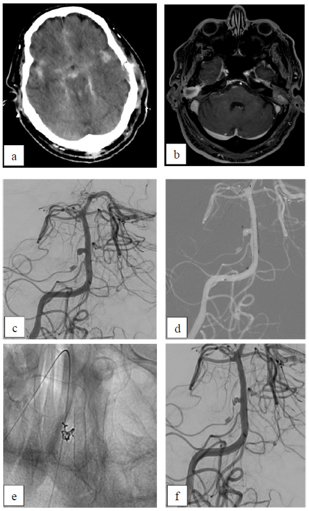 Brainsci 15 00042 g005