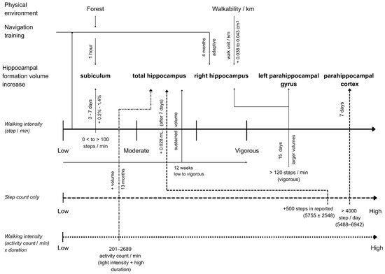 Walking and Hippocampal Formation Volume Changes: A Systematic Review