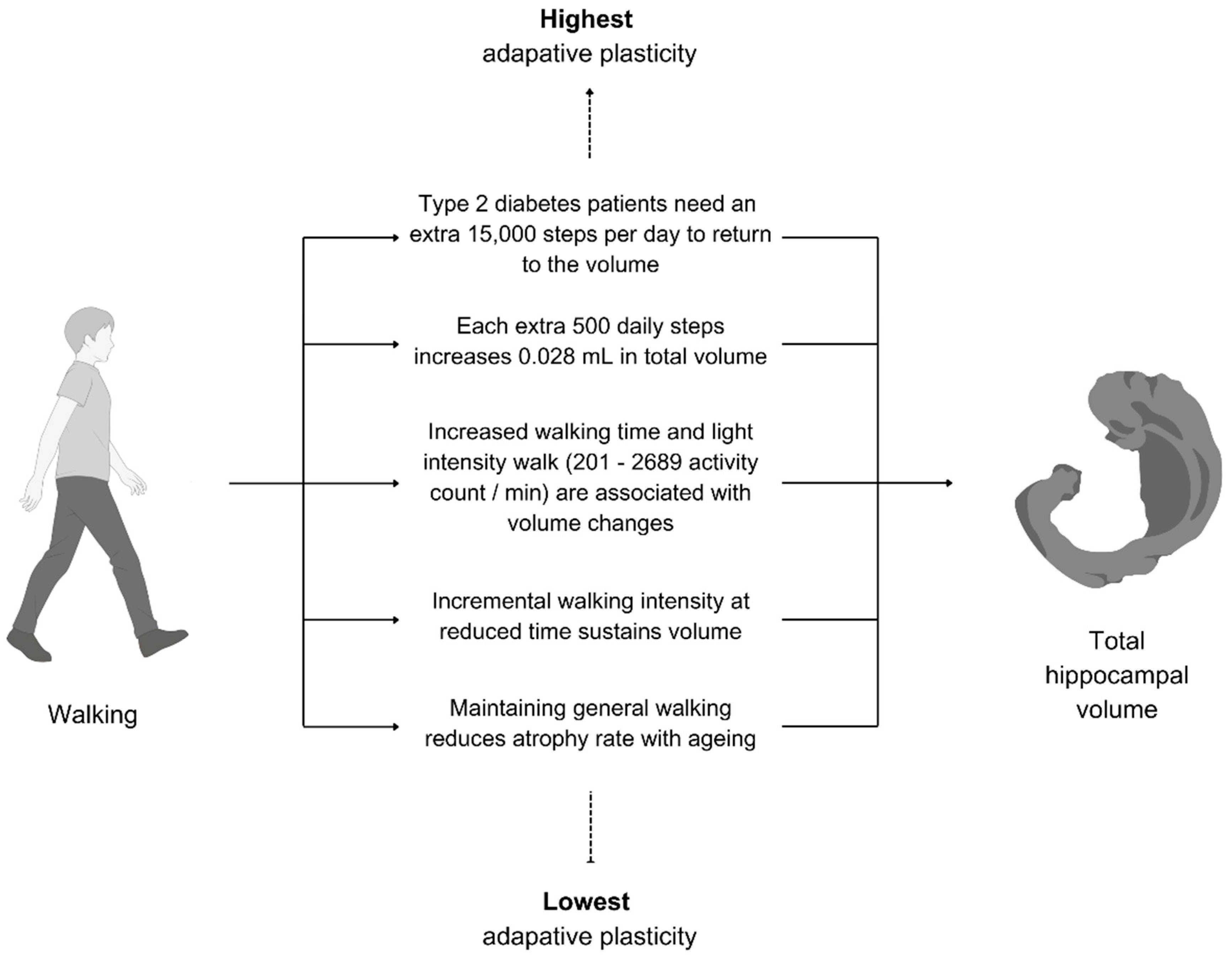 Brainsci 15 00052 g004