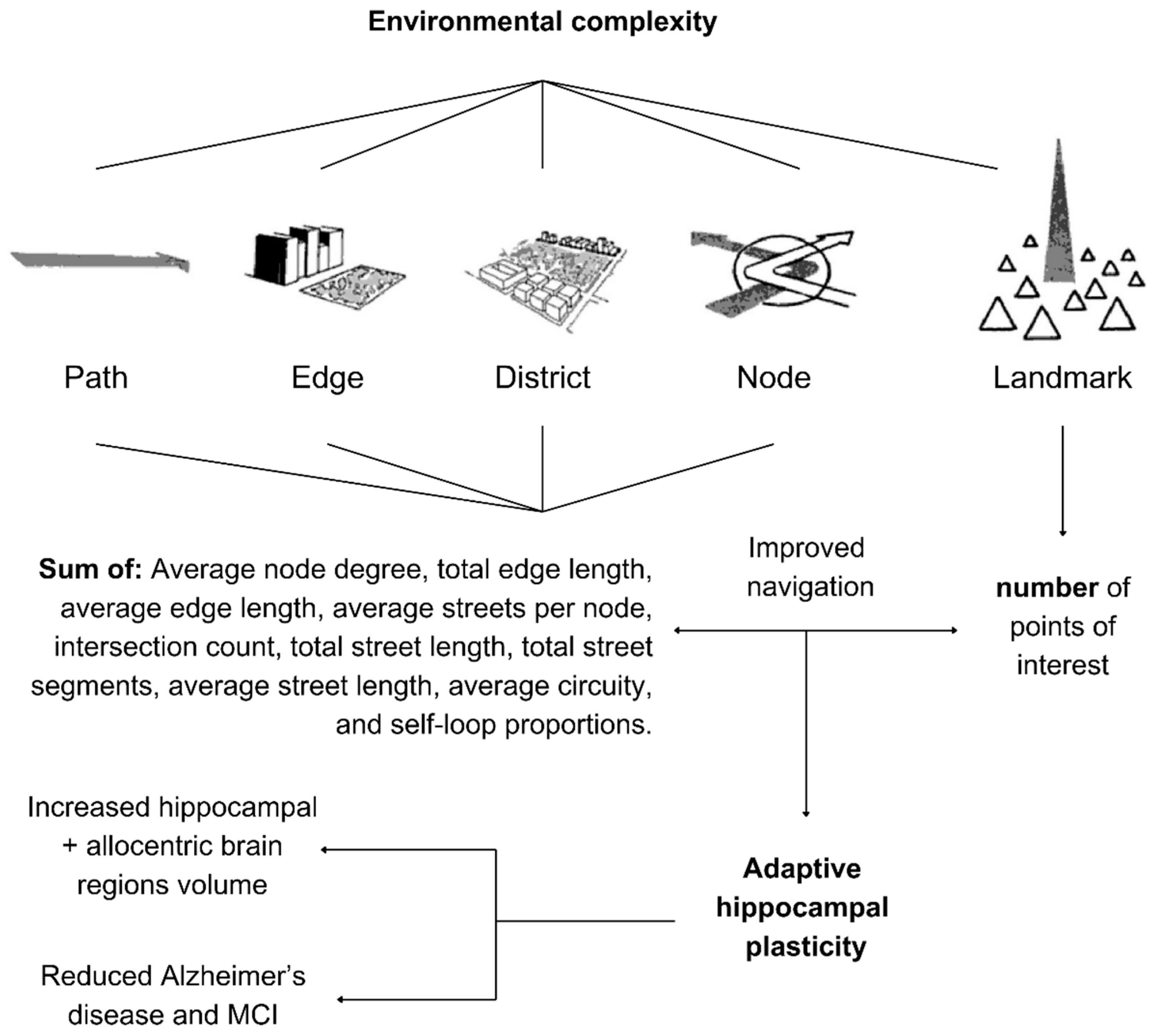Brainsci 15 00052 g006