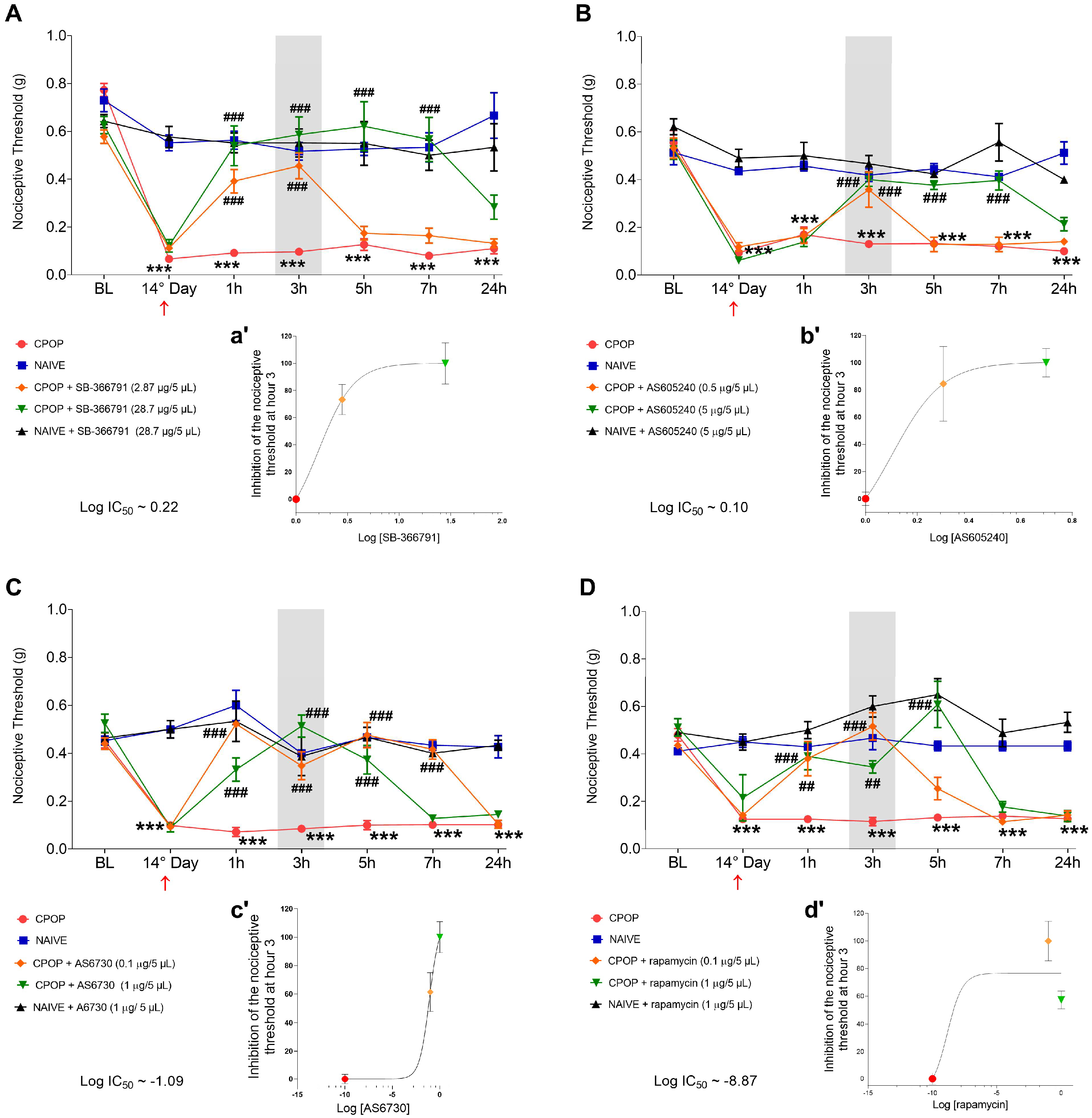 Brainsci 15 00053 g002