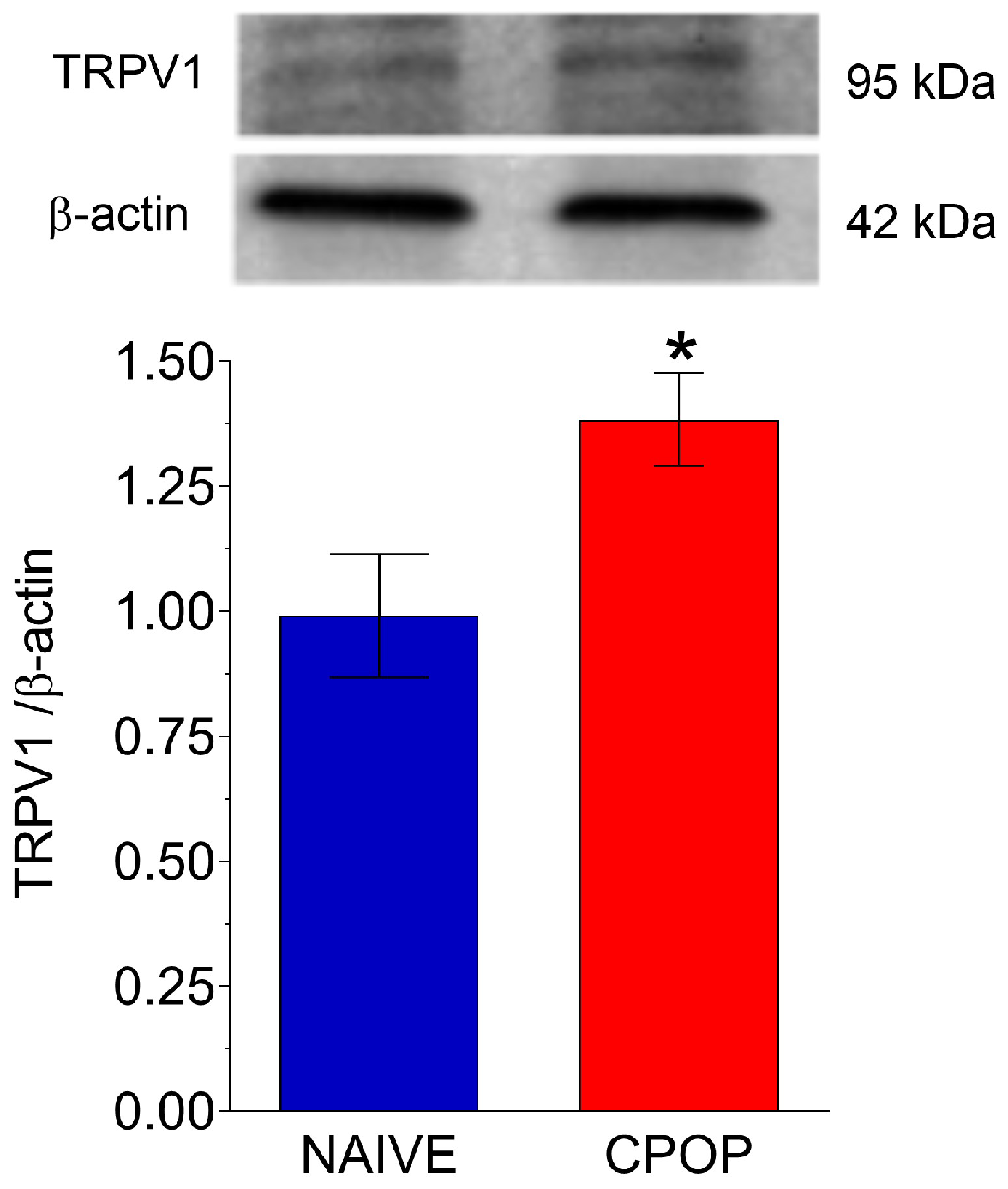 Brainsci 15 00053 g003