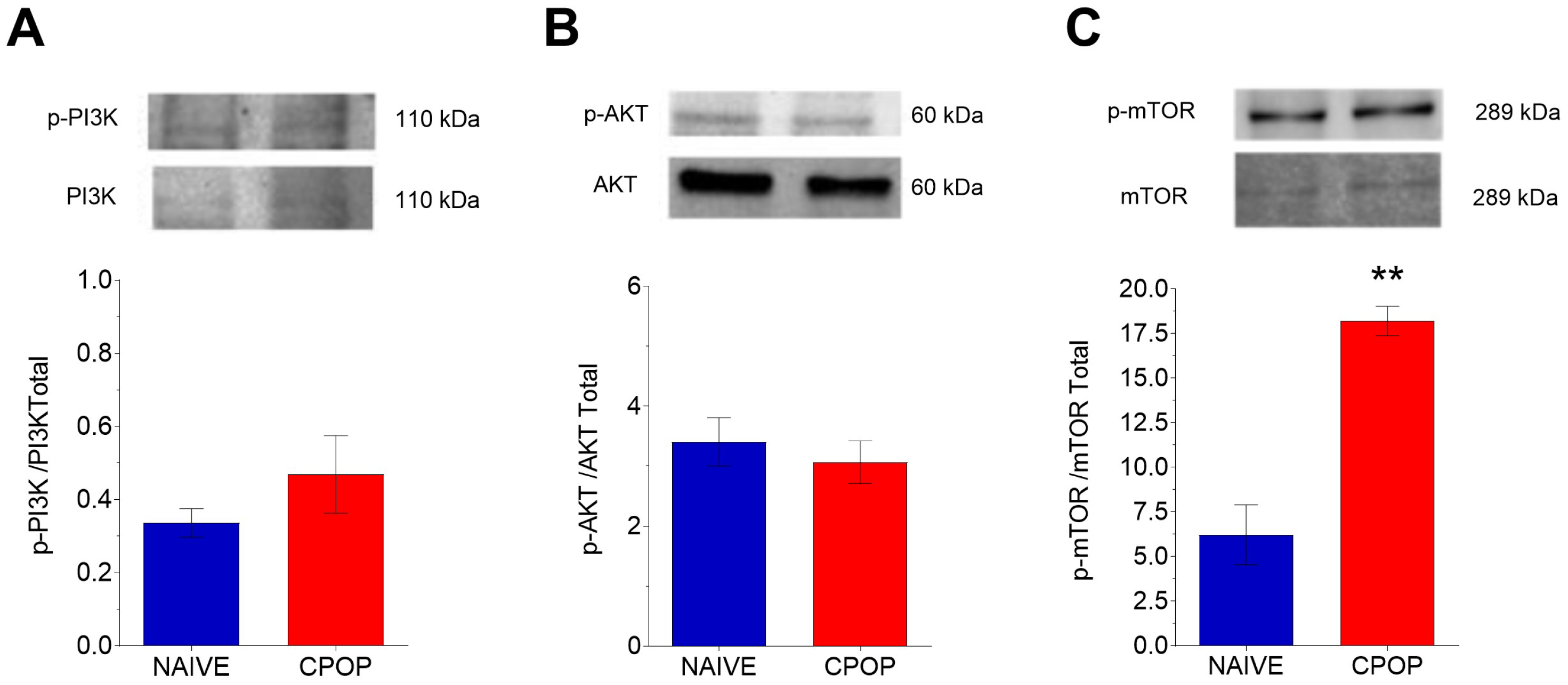 Brainsci 15 00053 g004