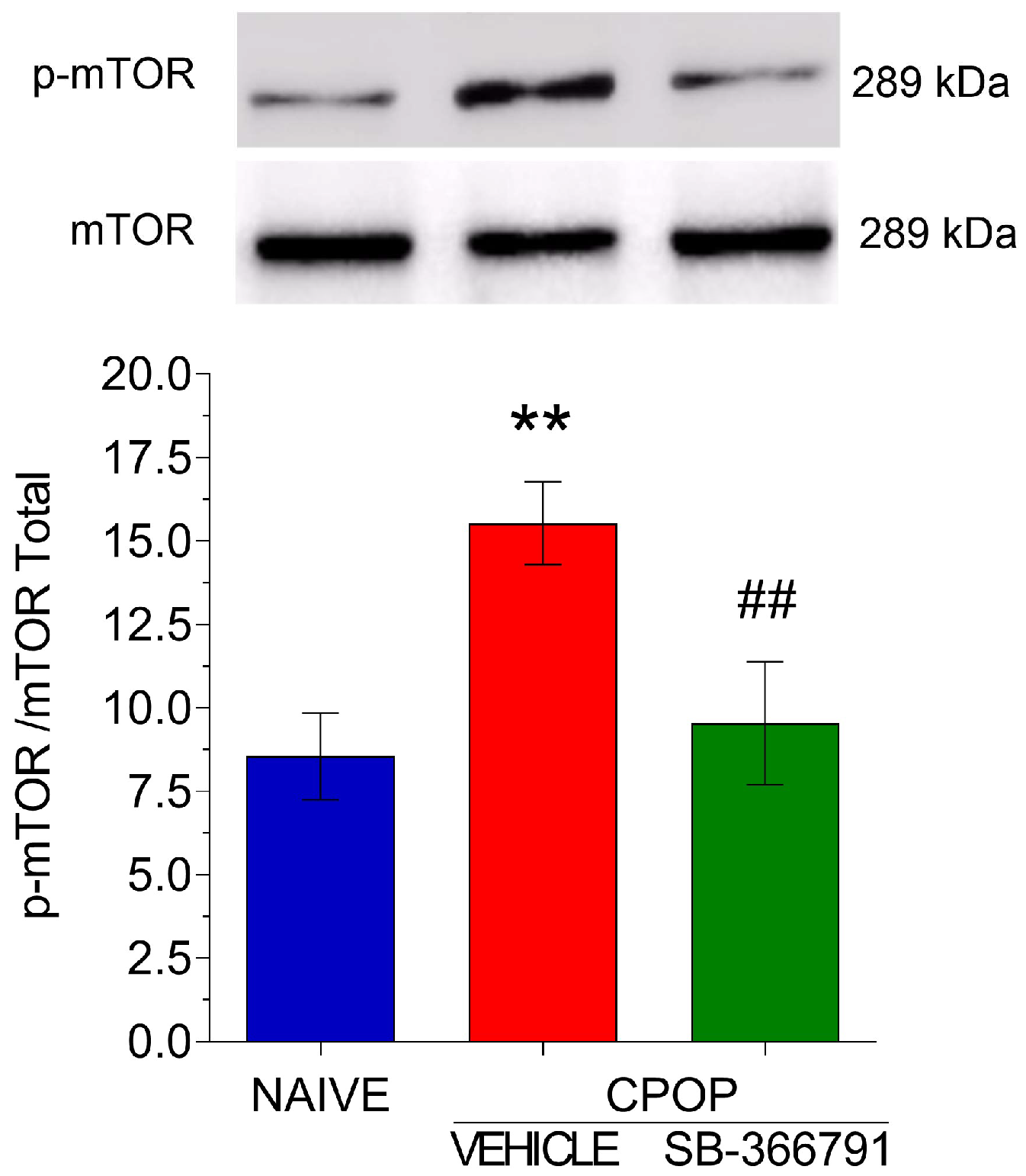 Brainsci 15 00053 g005