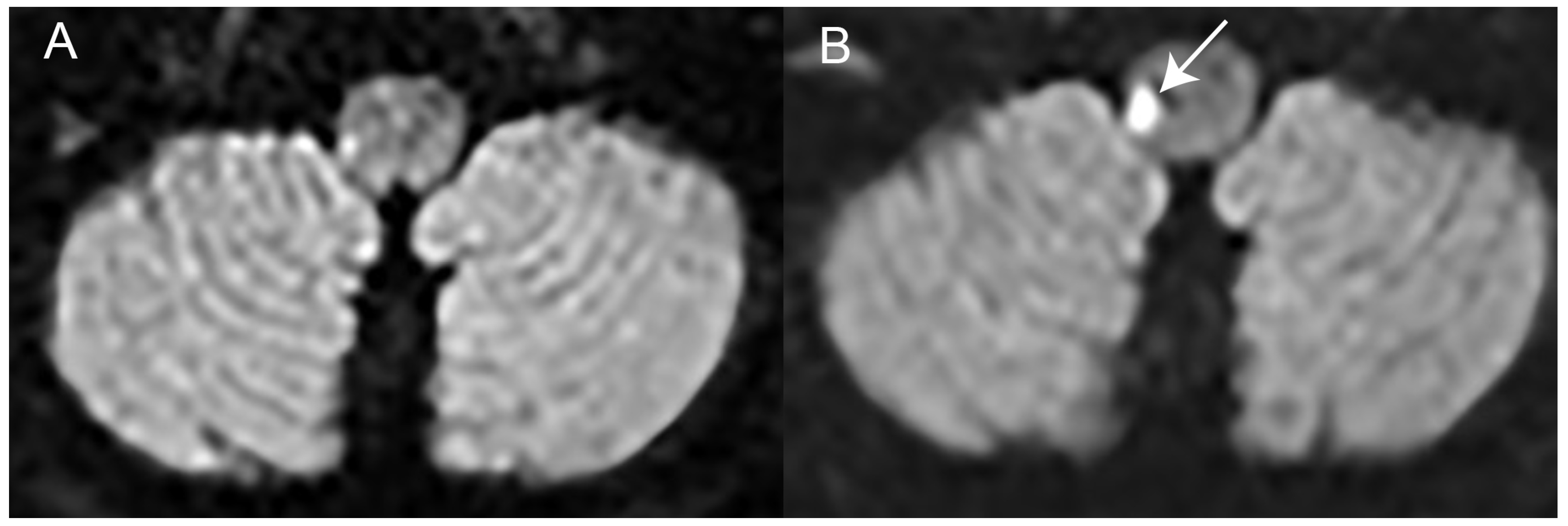 Brainsci 15 00055 g002