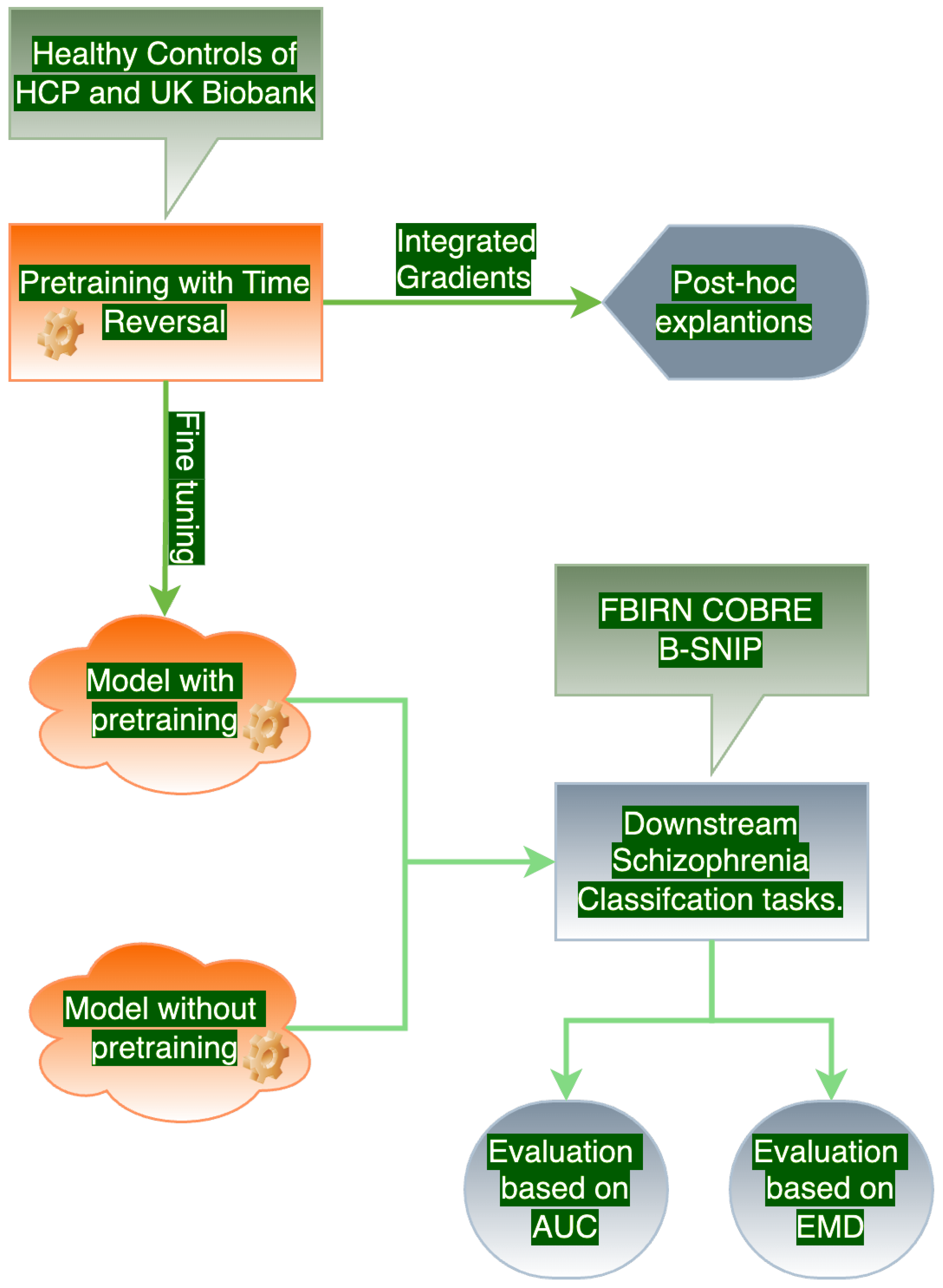 Brainsci 15 00060 g001