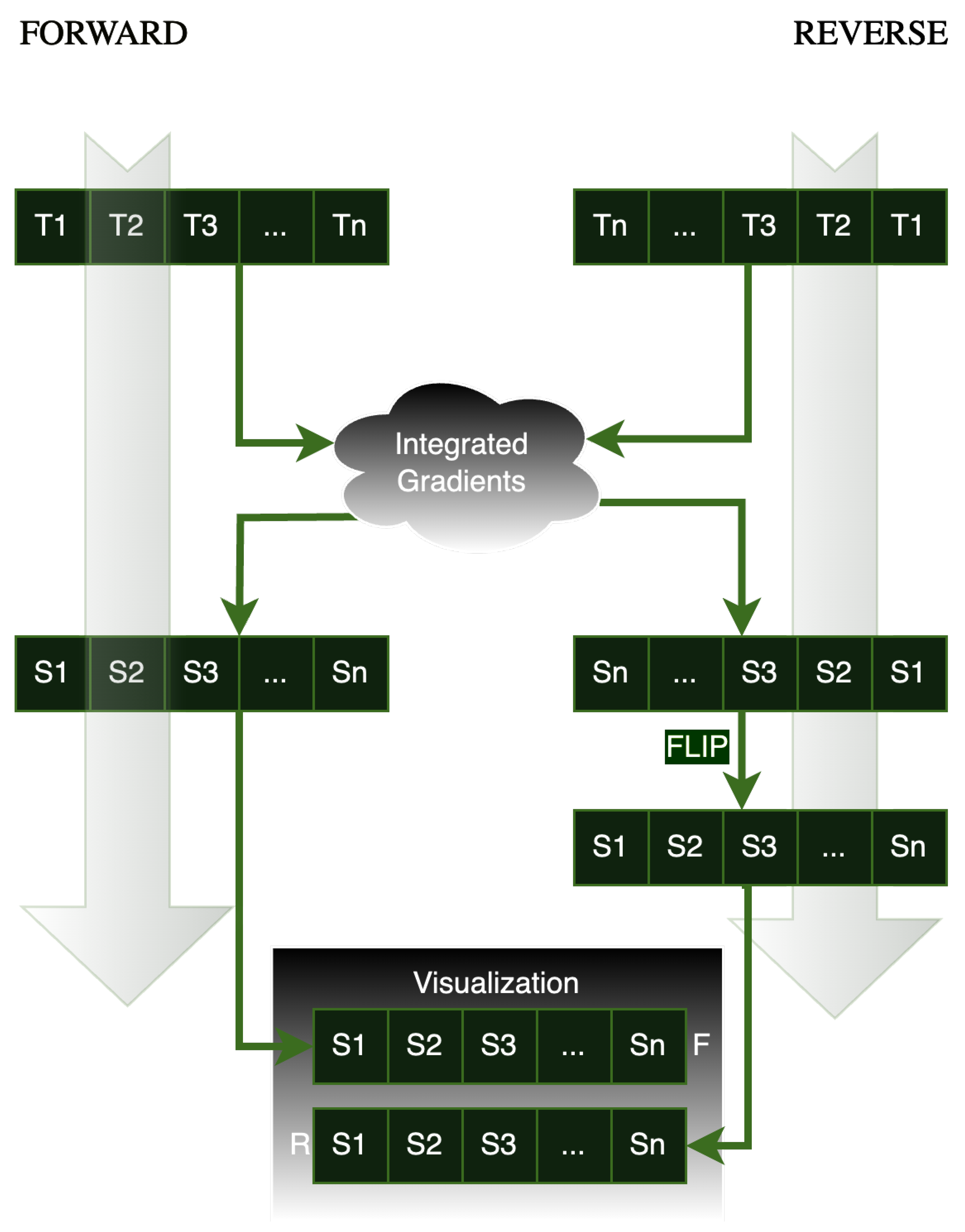 Brainsci 15 00060 g004