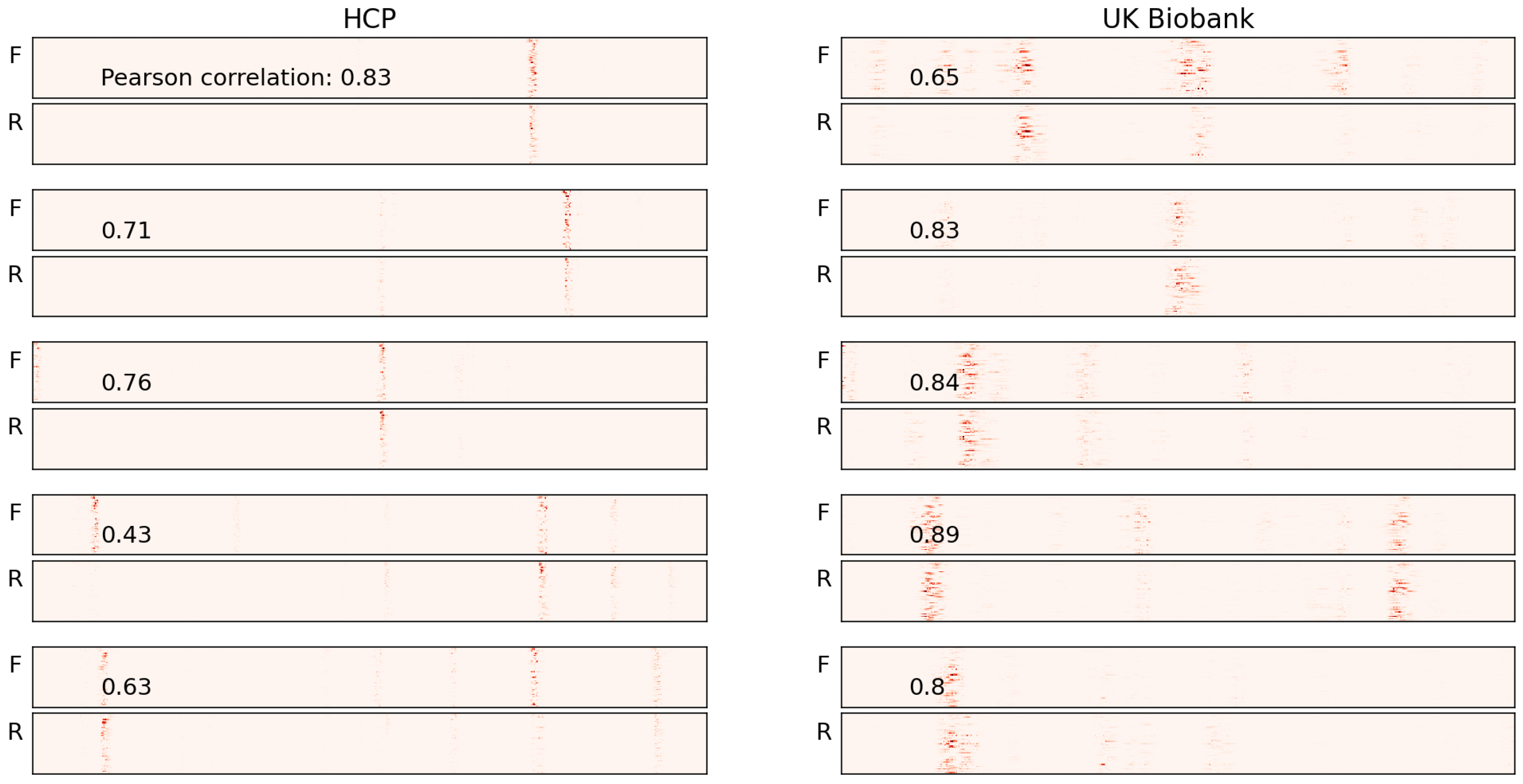 Brainsci 15 00060 g010