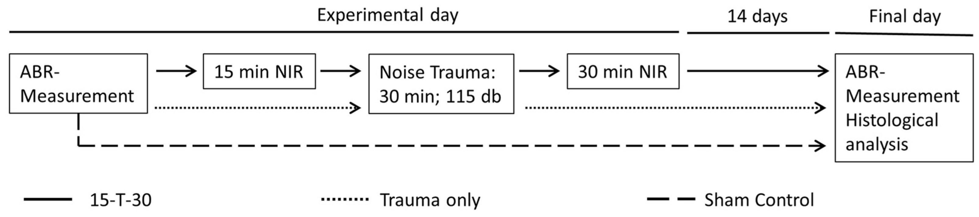 Brainsci 15 00062 g001 Brainsci 15 00062 g001