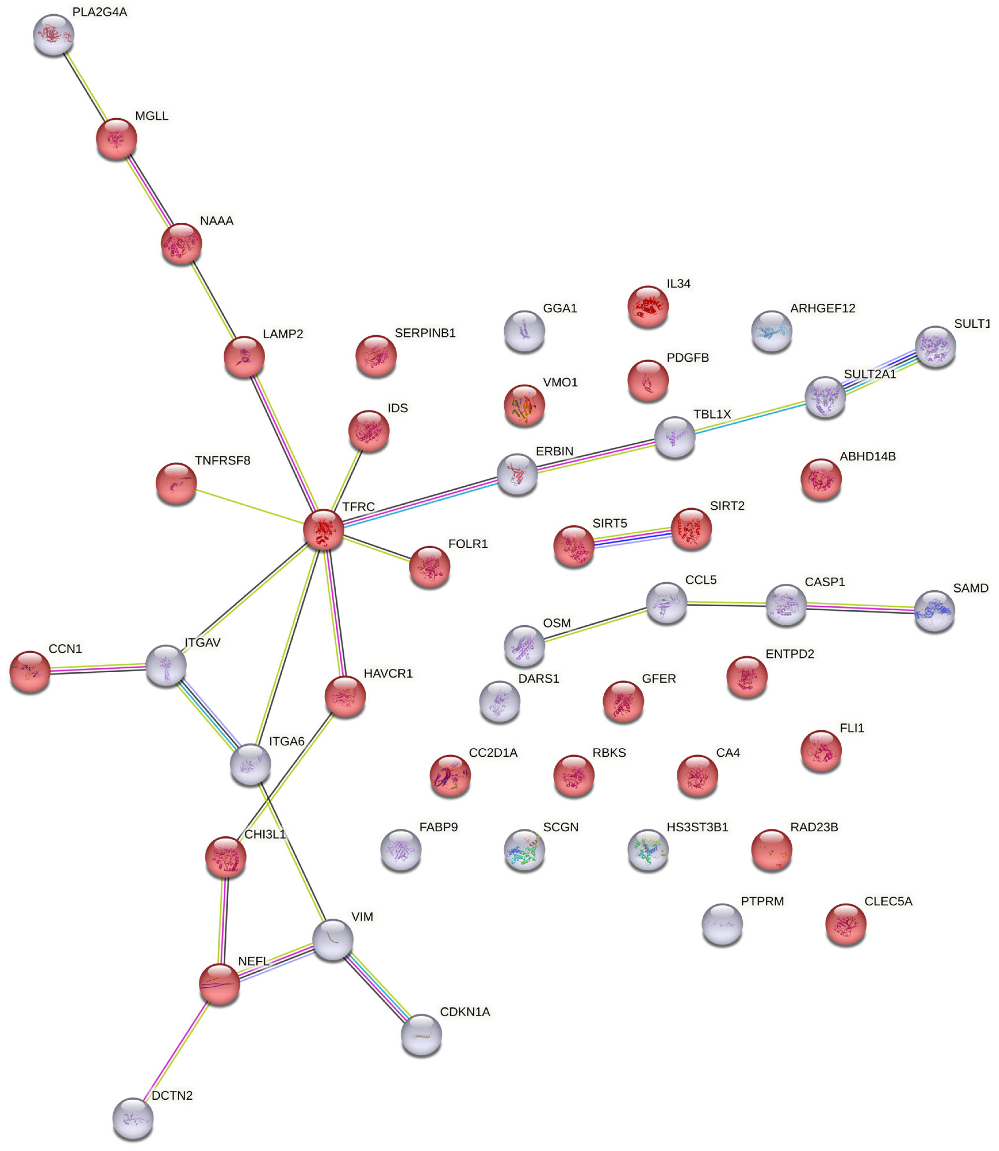Brainsci 15 00076 g001