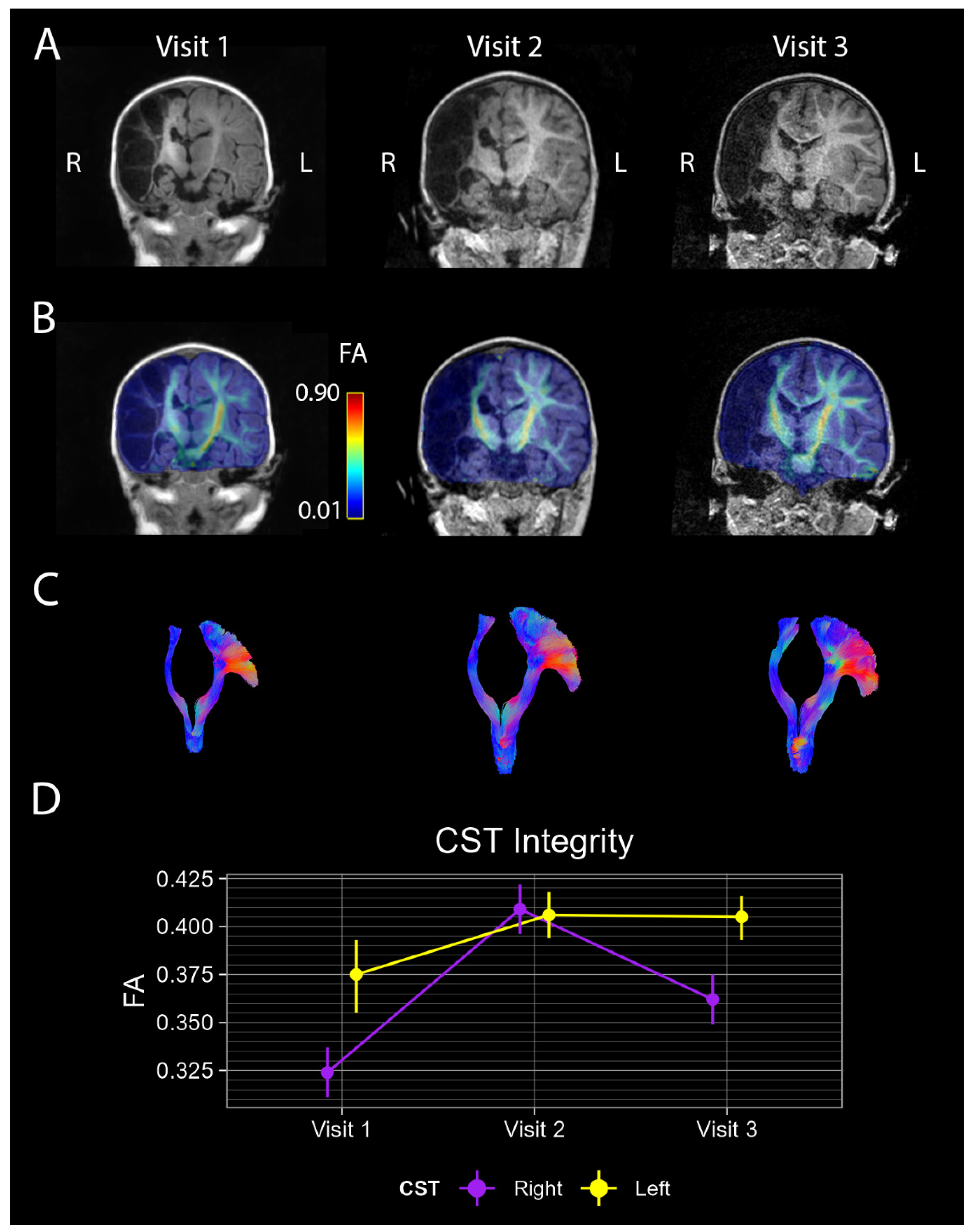 Brainsci 15 00082 g001