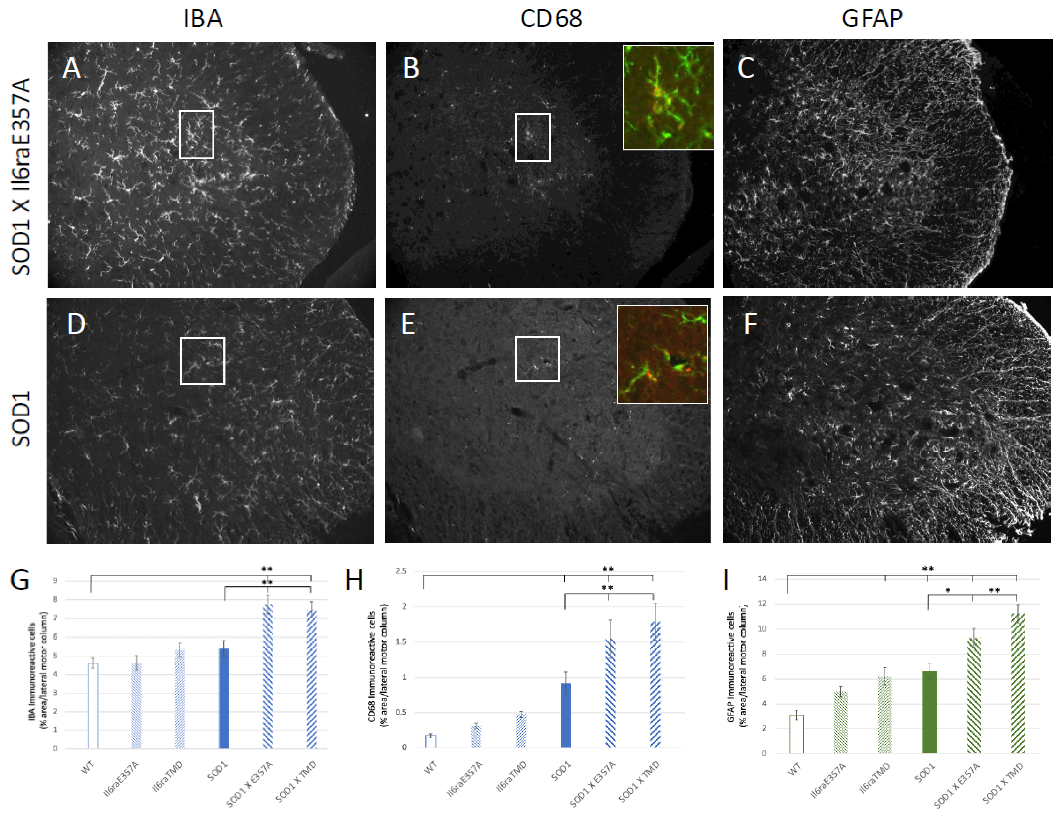 Brainsci 15 00084 g005