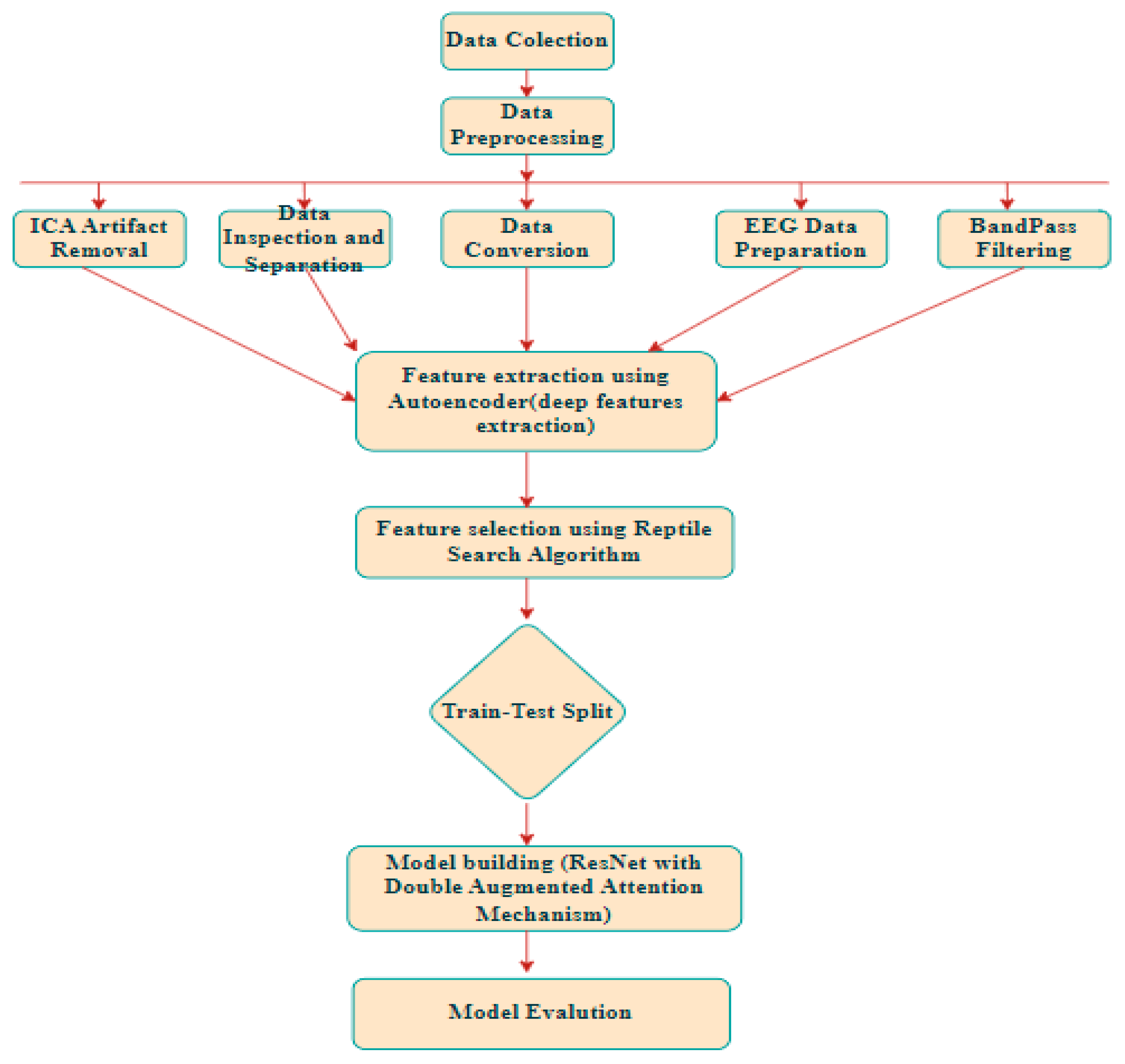 EEG-Based ADHD Classification Using Autoencoder Feature Extraction and ...