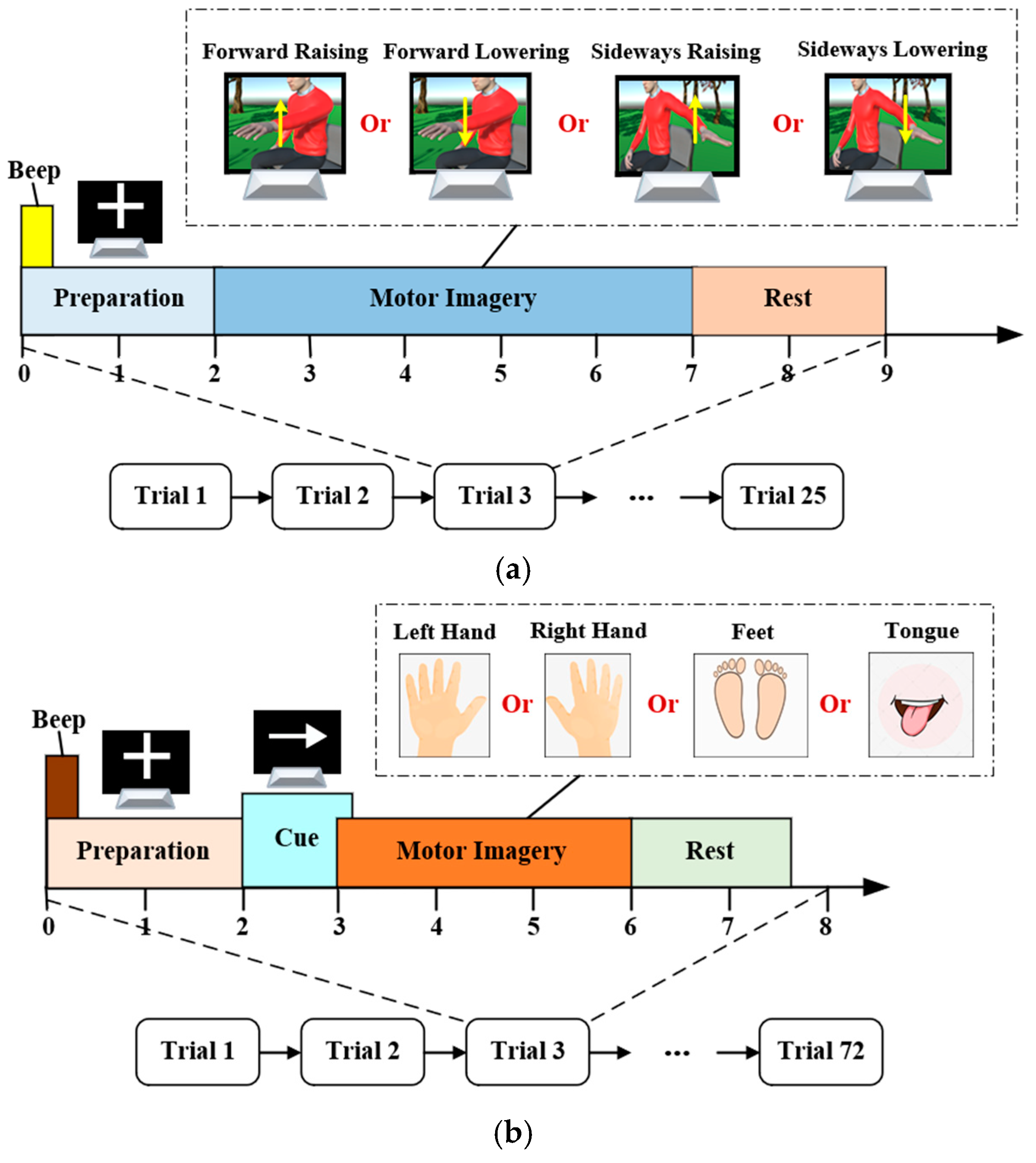 Brainsci 15 00098 g002