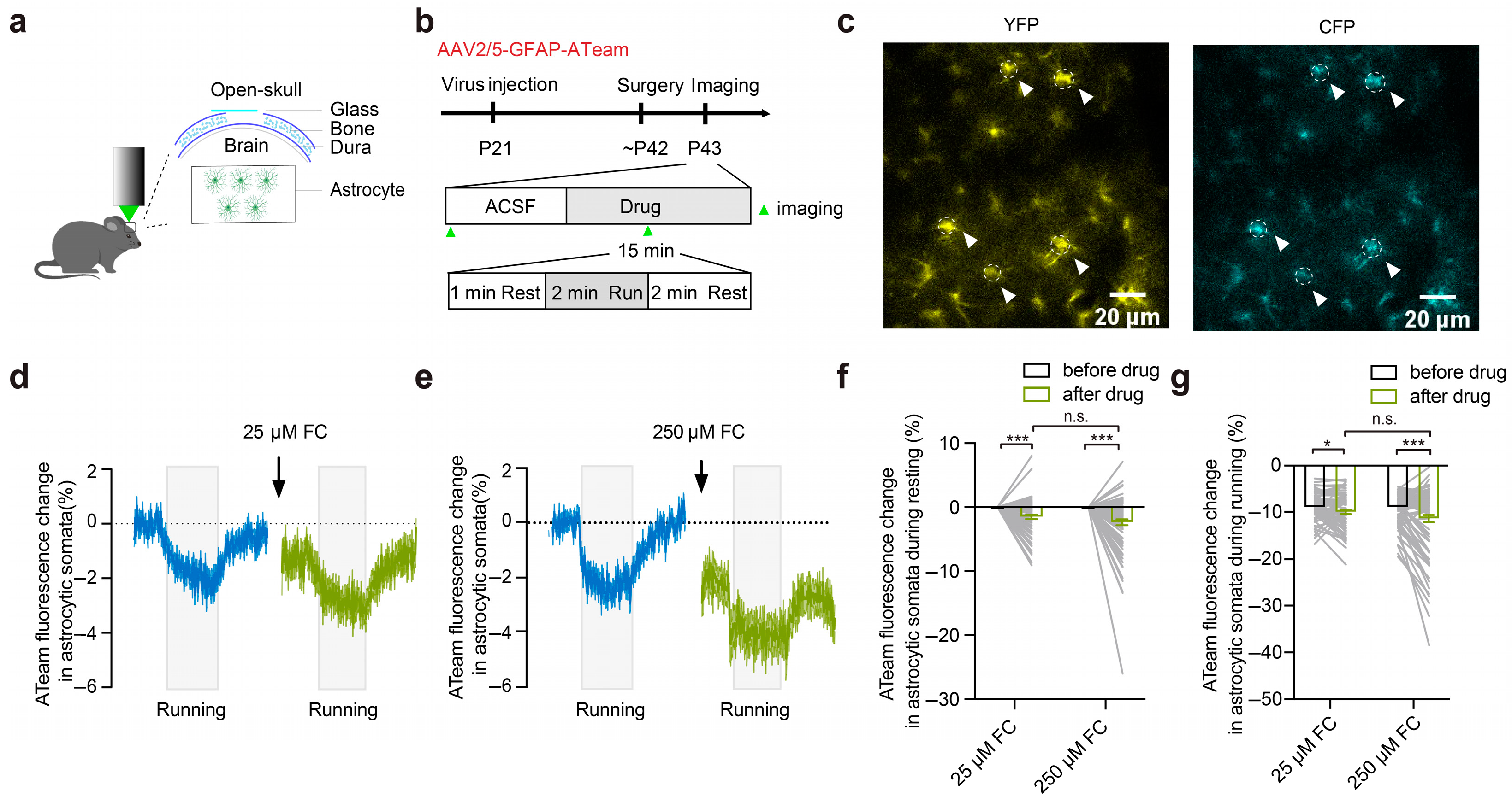 Brainsci 15 00099 g001