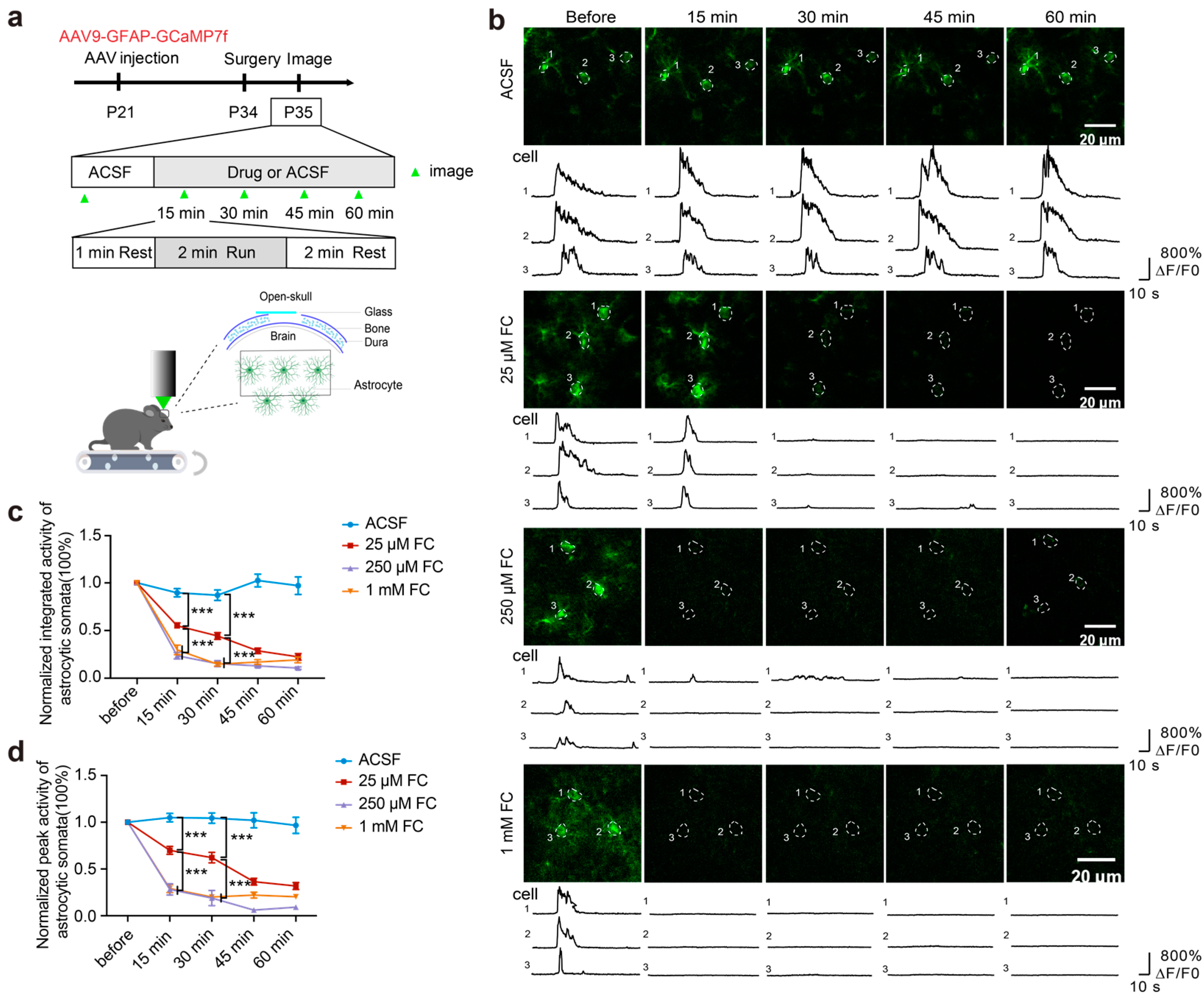 Brainsci 15 00099 g002