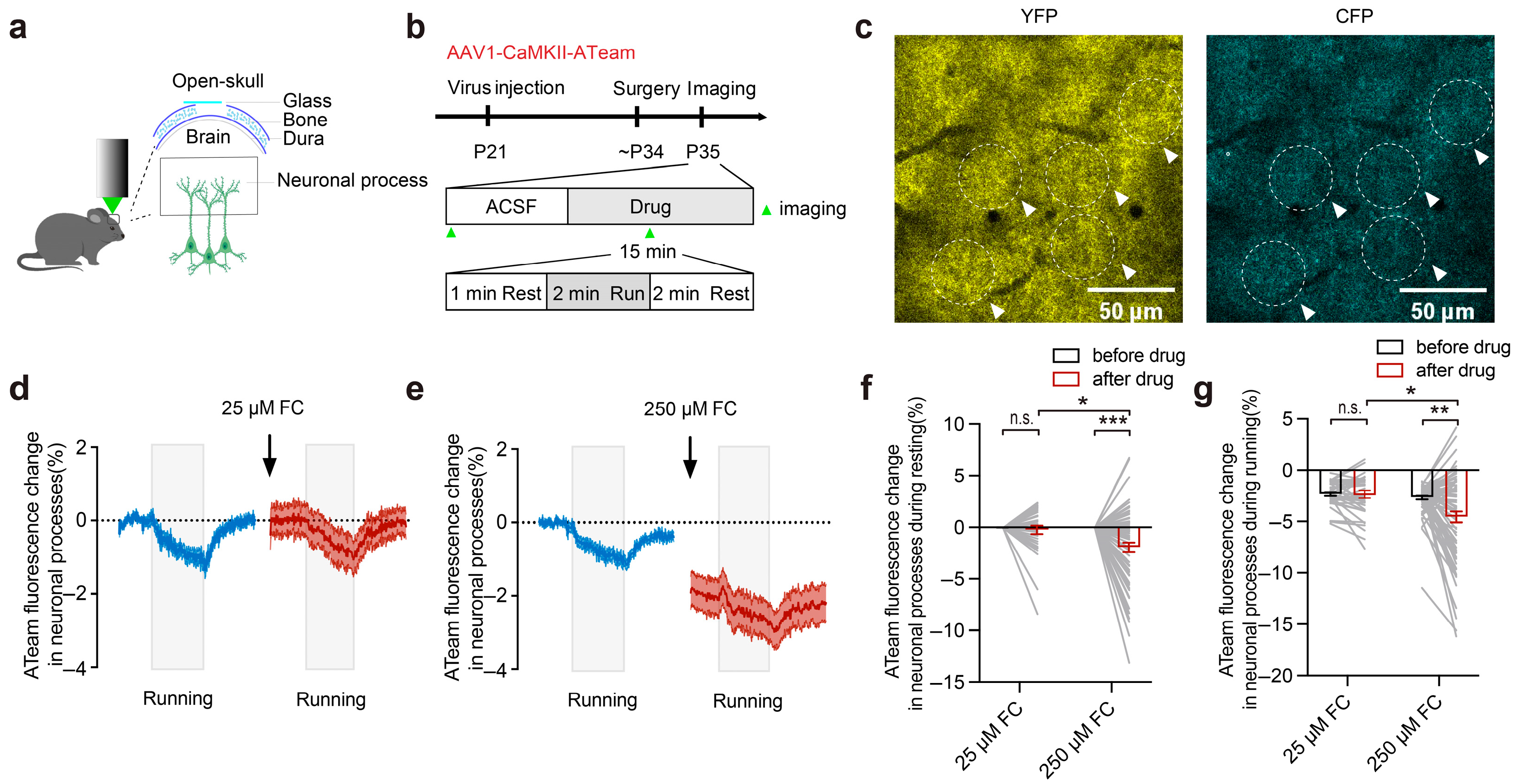 Brainsci 15 00099 g003
