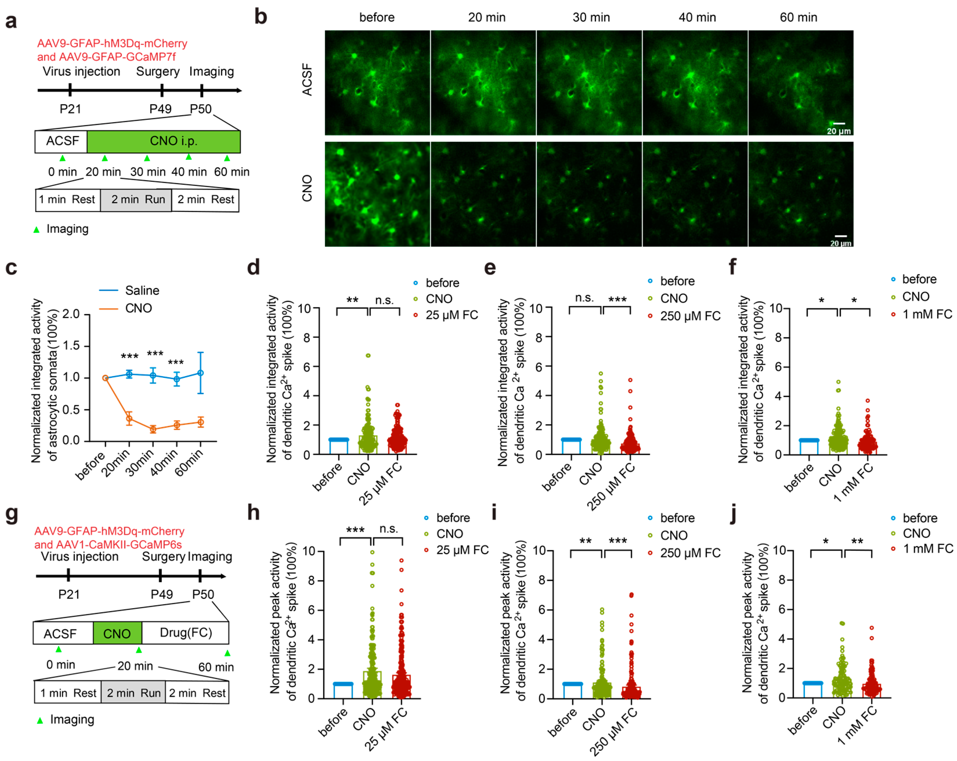 Brainsci 15 00099 g005