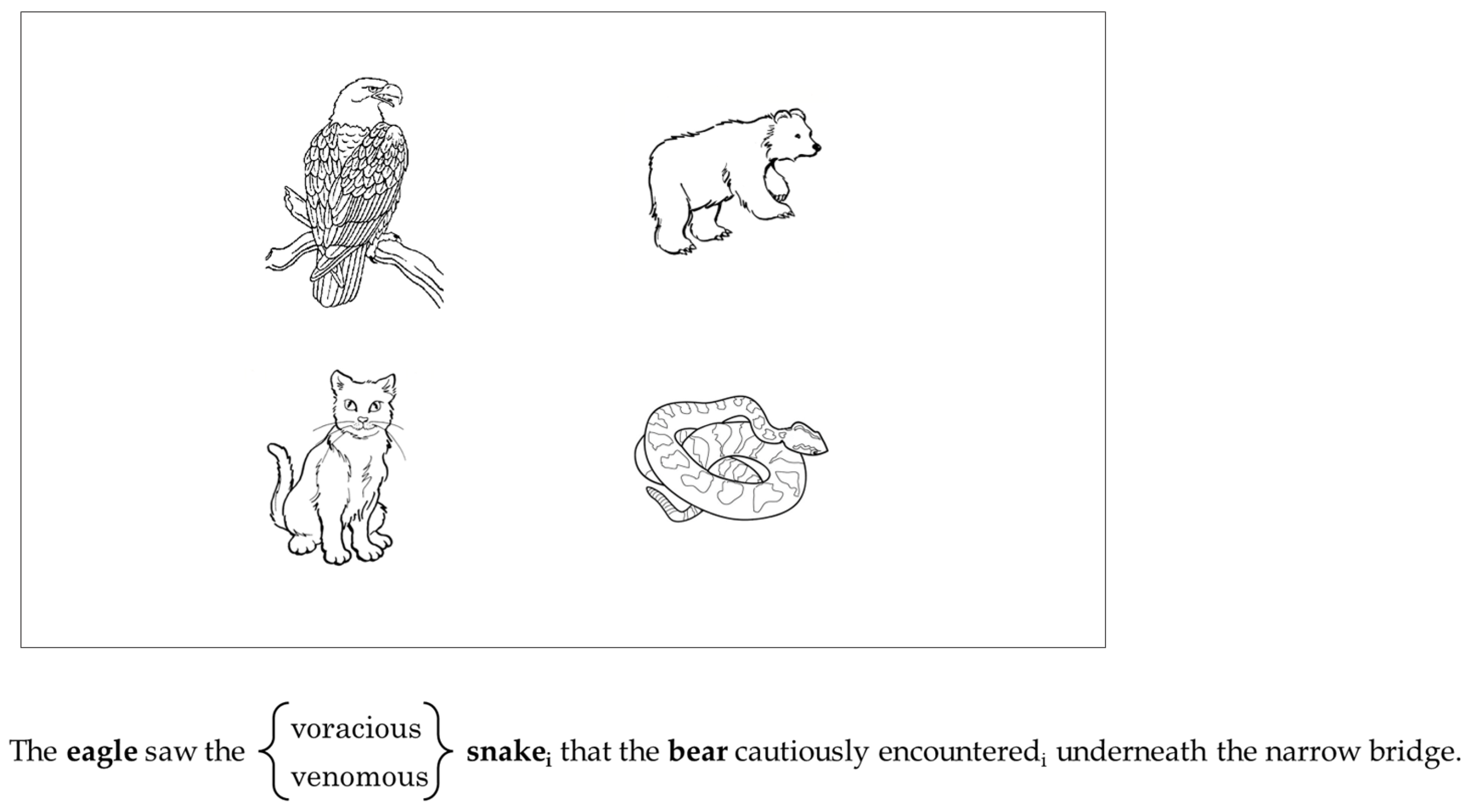 Brainsci 15 00107 g001