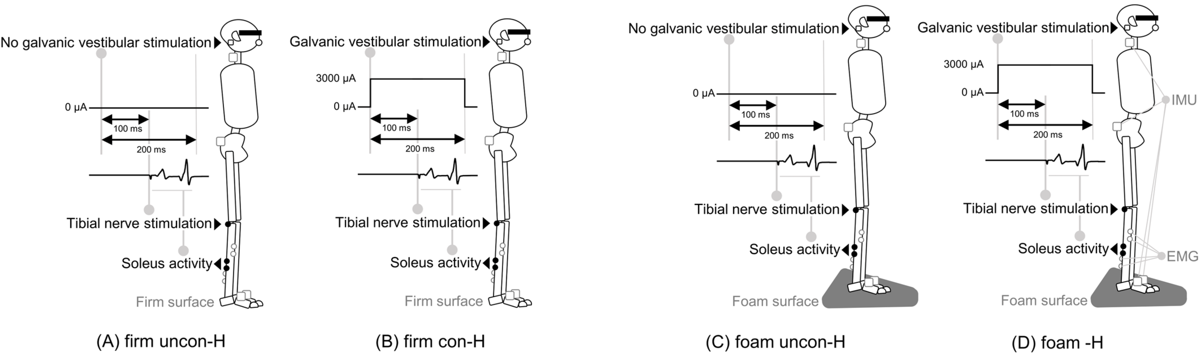 Brainsci 15 00115 g001