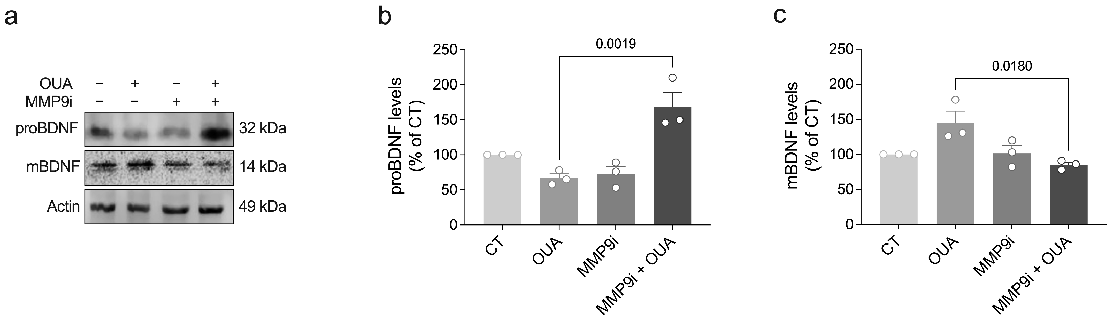Brainsci 15 00123 g003