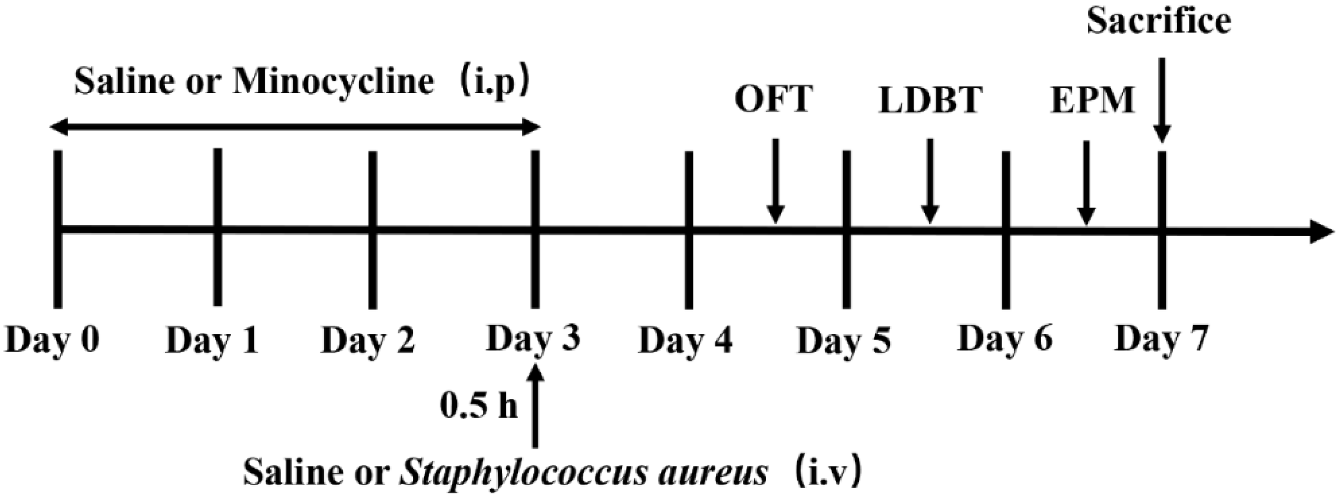 Brainsci 15 00128 g001